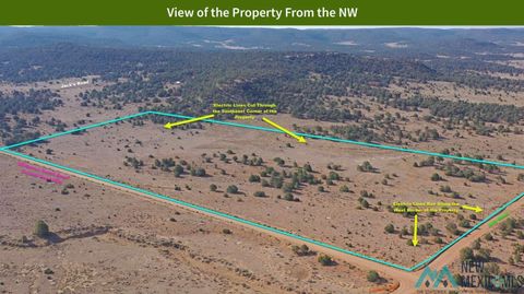Vacant Land For Sale - E County Road 080<br/> Catron County, Pie Town, NM 87827
