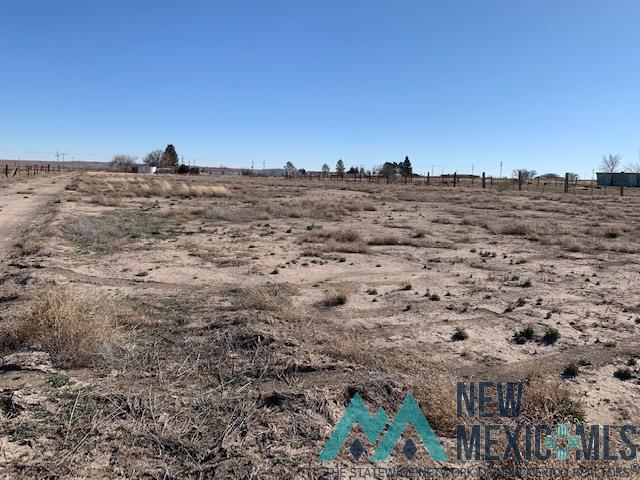 N Of 441 S Haldeman Rural Road, Artesia, New Mexico image 11