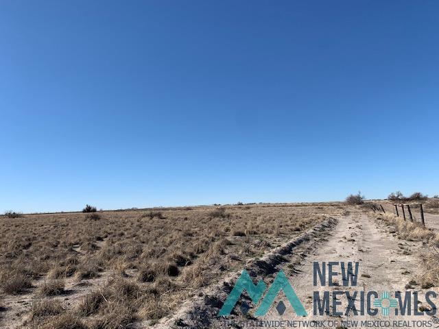 N Of 441 S Haldeman Rural Road, Artesia, New Mexico image 3