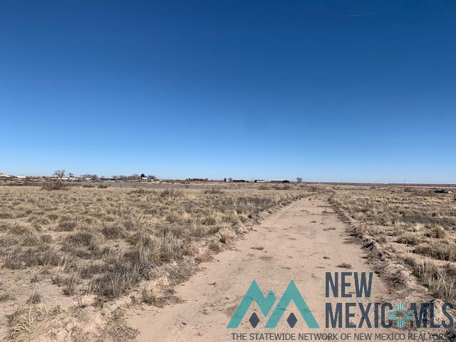 N Of 441 S Haldeman Rural Road, Artesia, New Mexico image 7