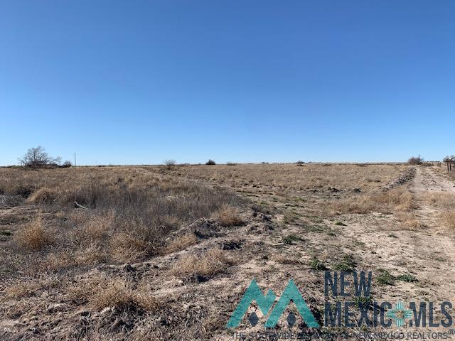 N Of 441 S Haldeman Rural Road, Artesia, New Mexico image 14