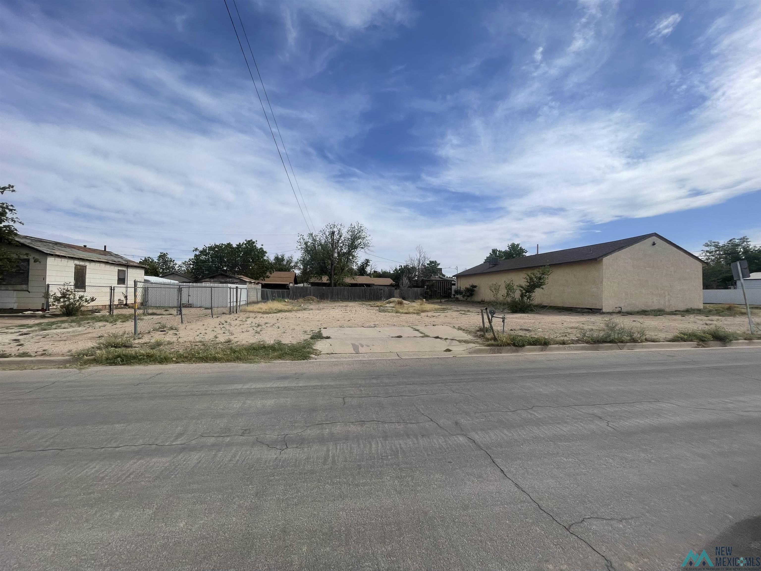 2413 W Missouri Street, Carlsbad, Texas image 2