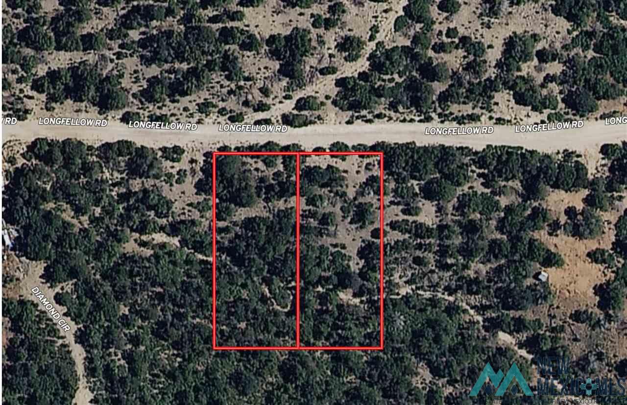 102 Longfellow Avenue, Timberon, New Mexico image 4