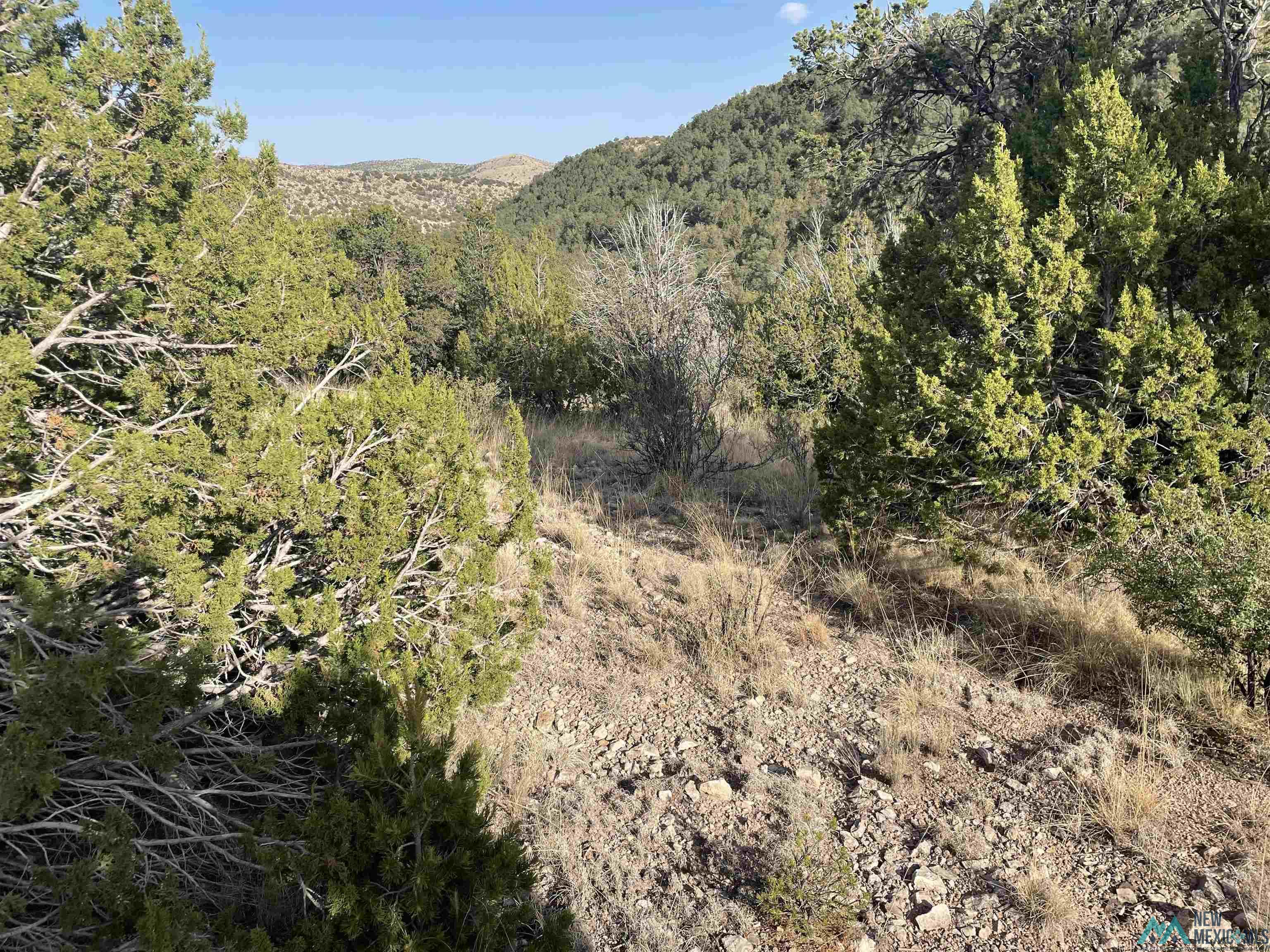 102 Longfellow Avenue, Timberon, New Mexico image 1