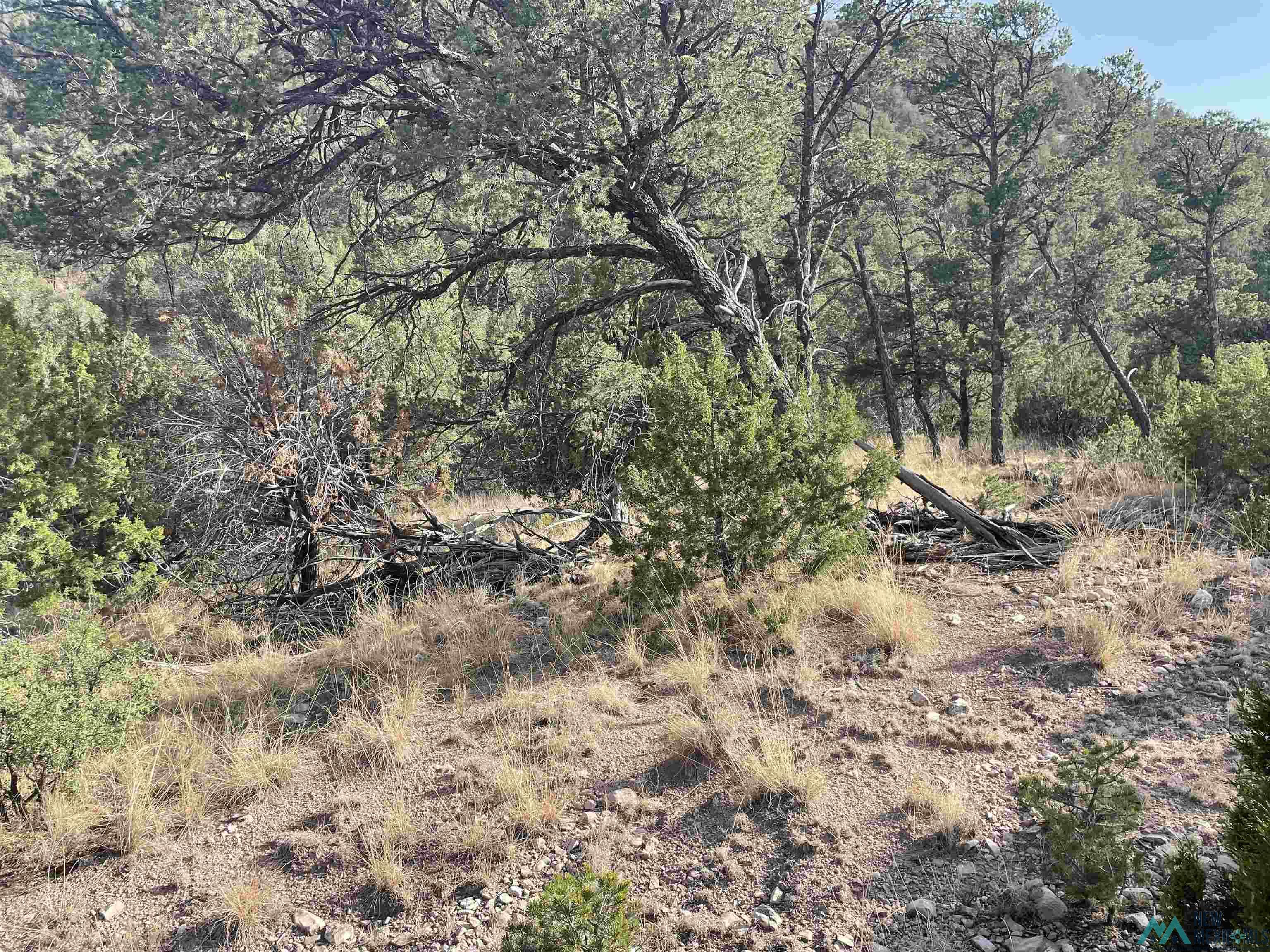 102 Longfellow Avenue, Timberon, New Mexico image 2