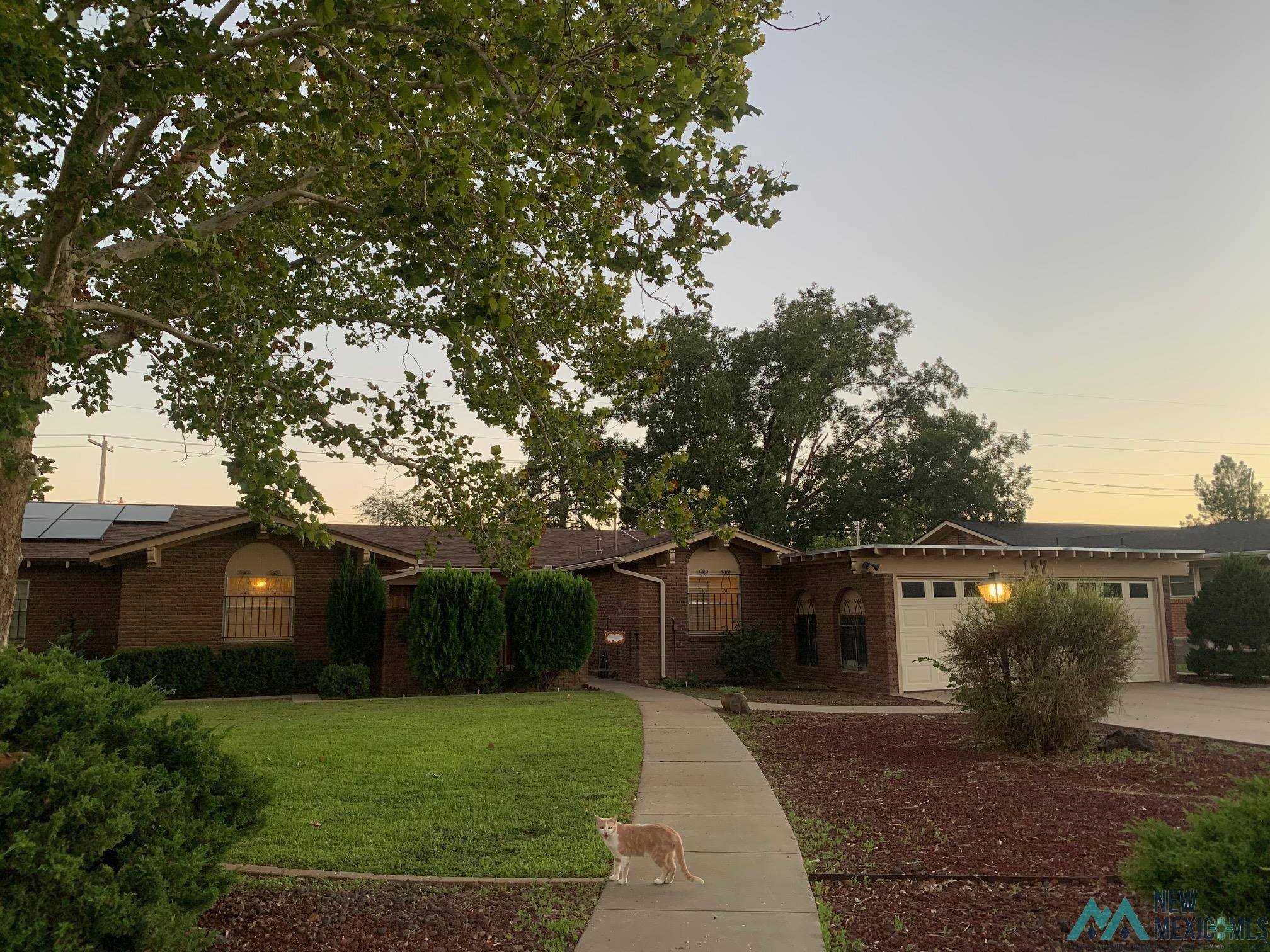 157 Yucca Drive, Portales, New Mexico image 1