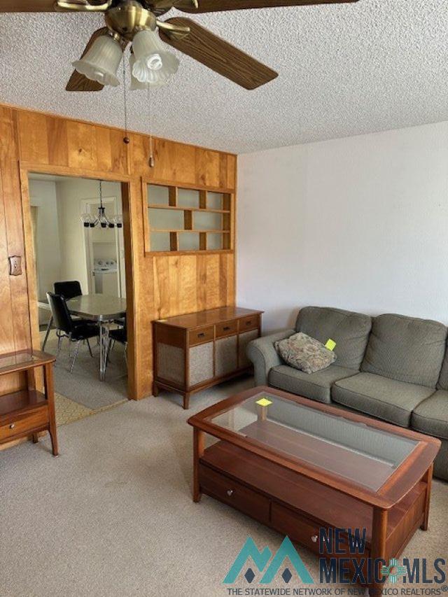 1010 Valverde Street, Carlsbad, Texas image 3