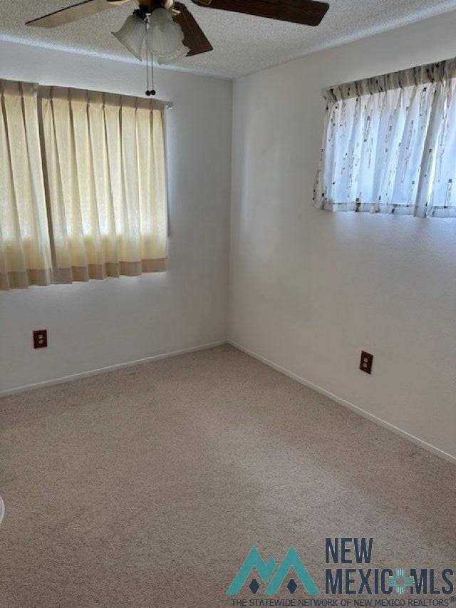 1010 Valverde Street, Carlsbad, Texas image 16
