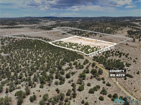 Vacant Land For Sale - ZZ Slurry Road<br/> Pie Town, NM 87827