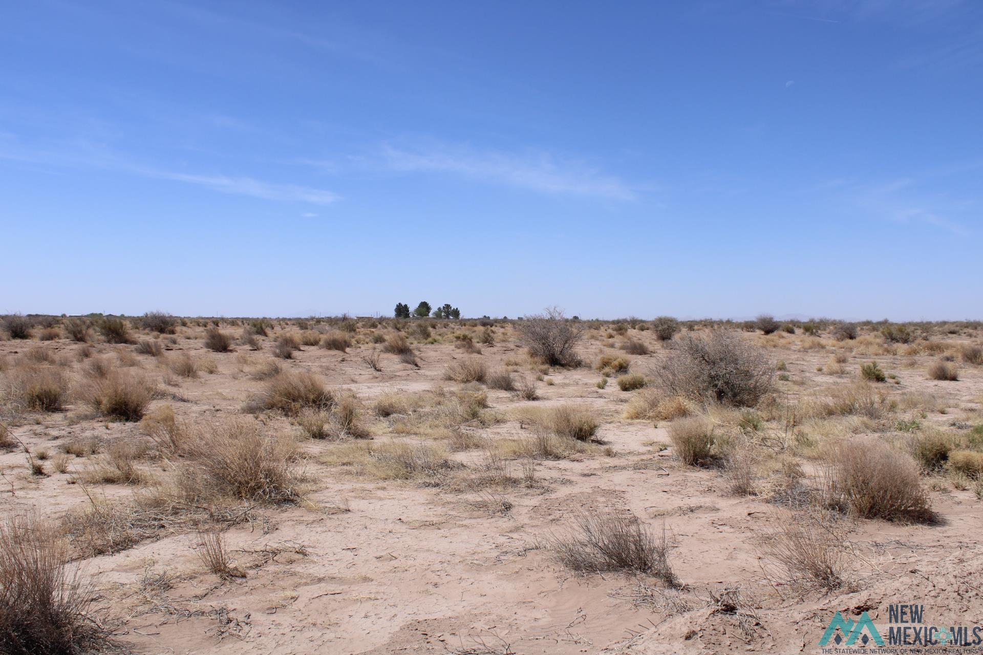 Roja Rd Sw, Deming, New Mexico image 1