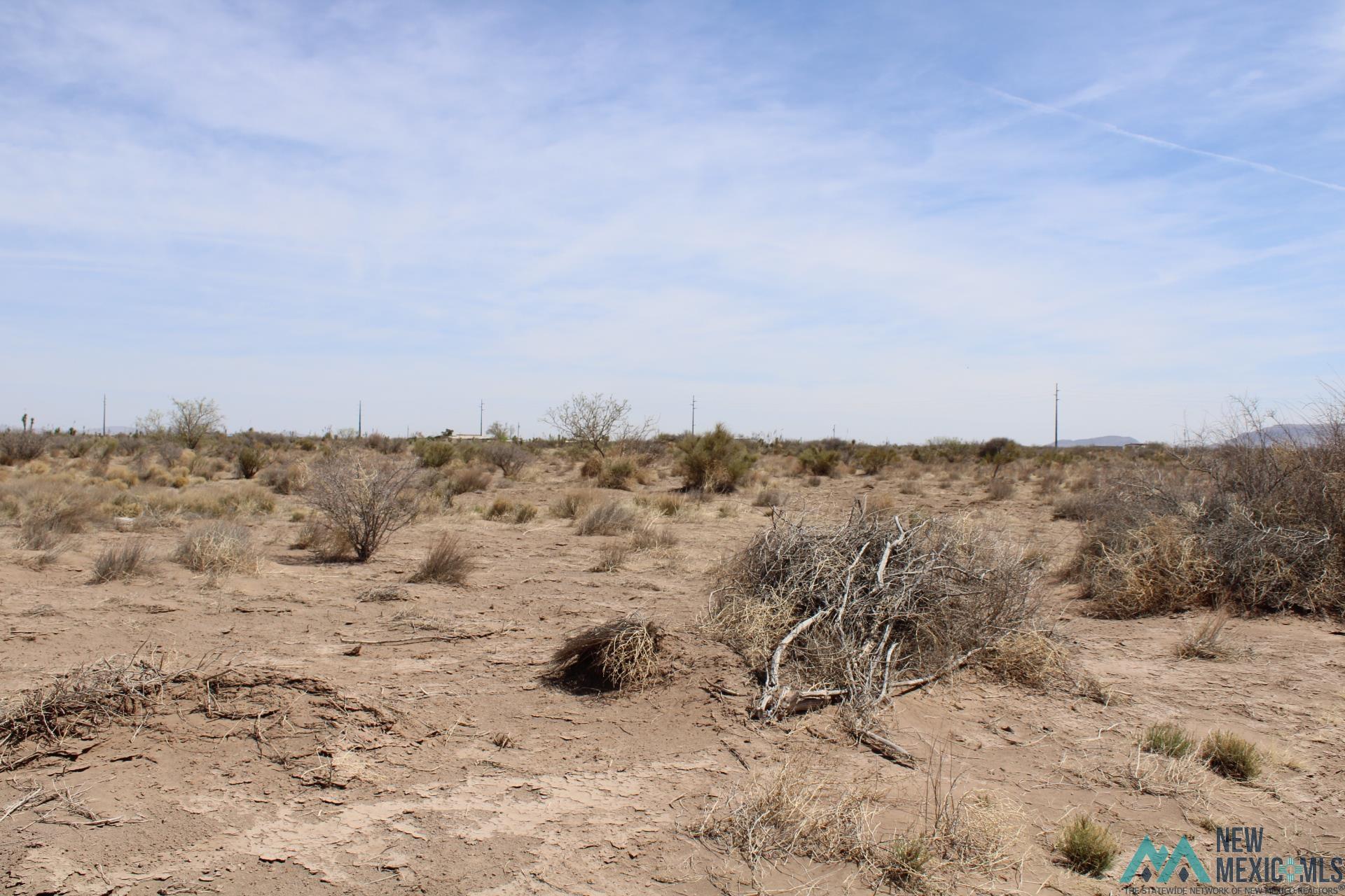 Roja Rd Sw, Deming, New Mexico image 6