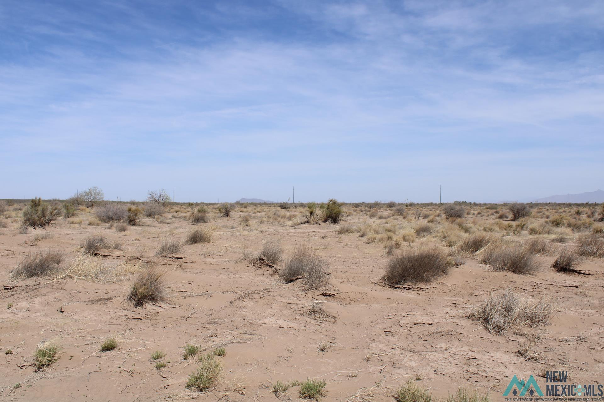 Roja Rd Sw, Deming, New Mexico image 4