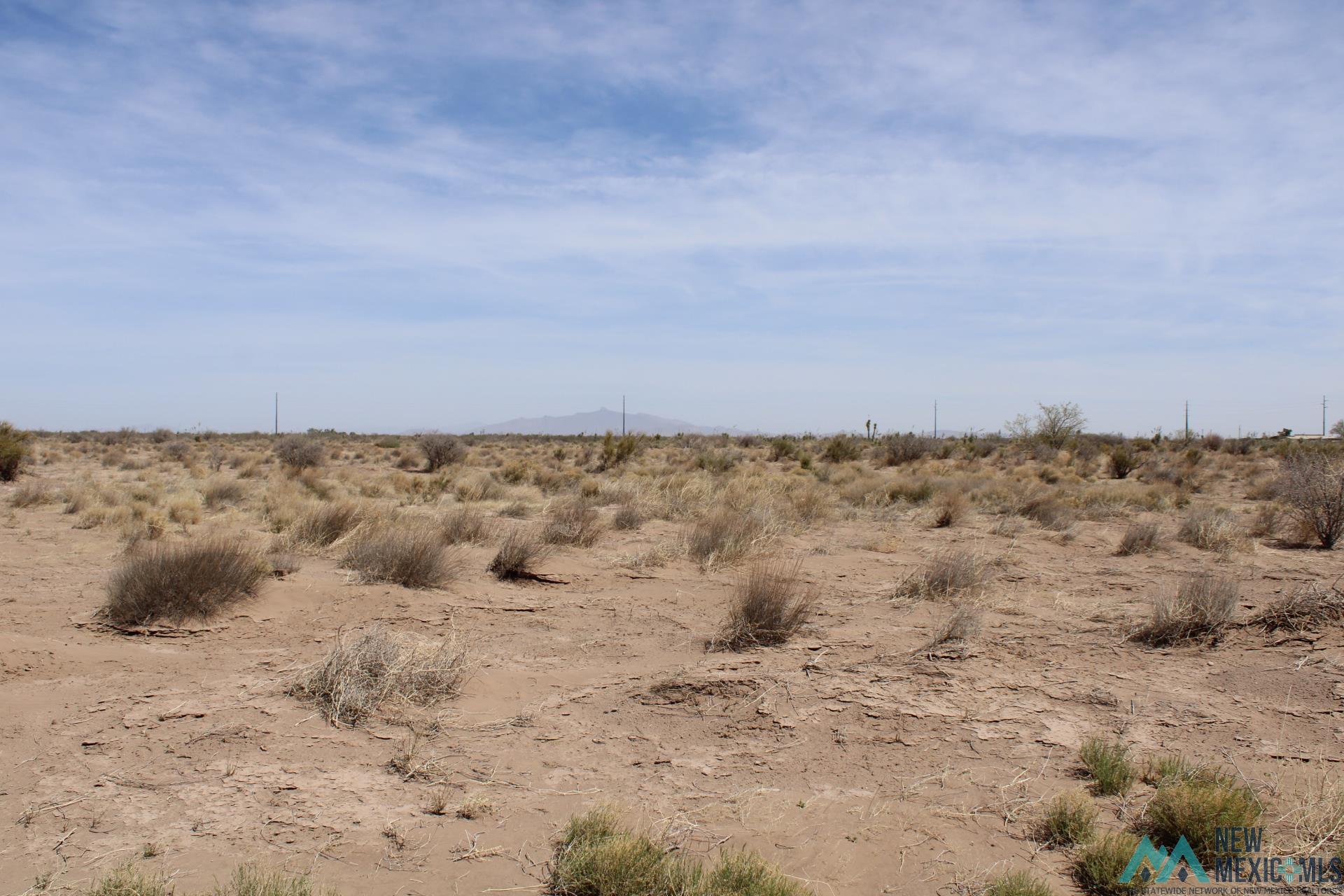 Roja Rd Sw, Deming, New Mexico image 5