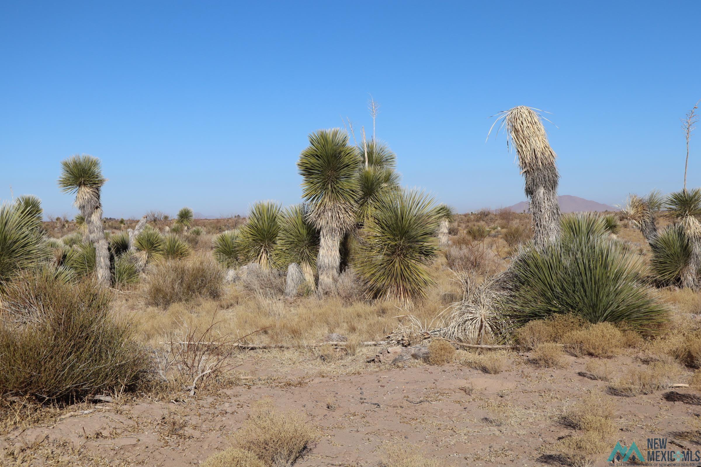 Lucca Rd Sw, Deming, Texas image 3