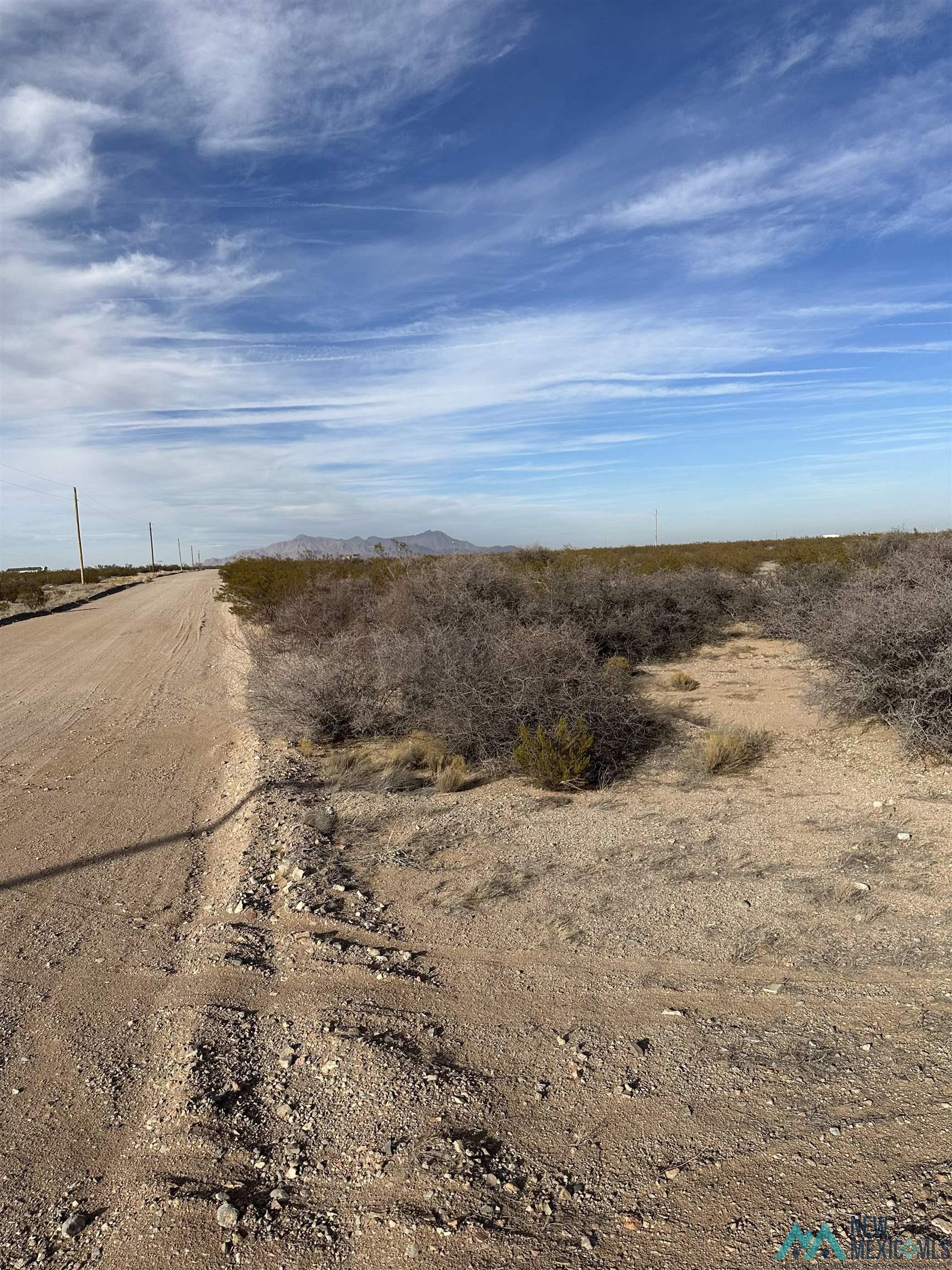 XXXX Coyote Lane Lot 18, Columbus, New Mexico image 1