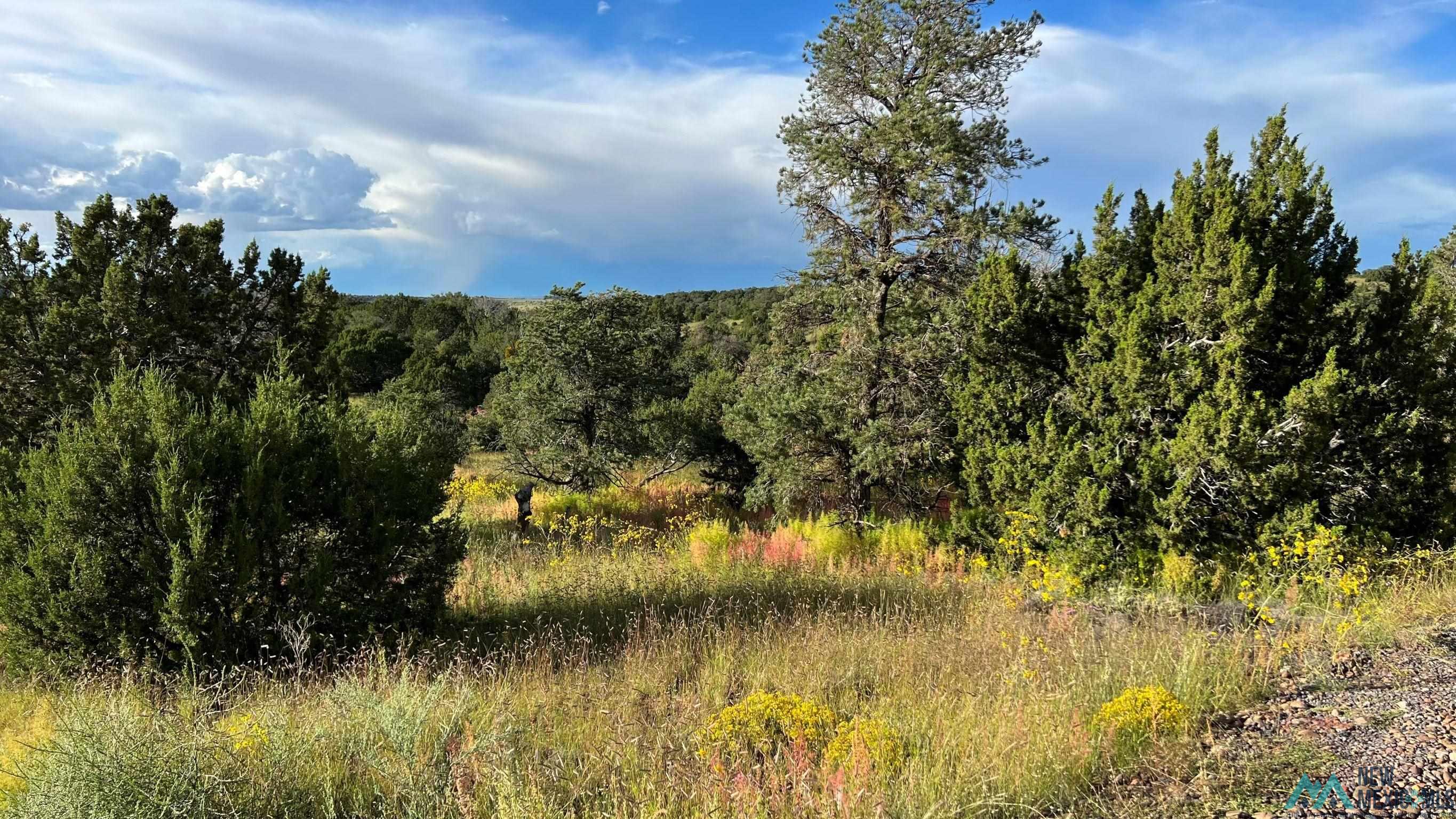 8 Reata Trail, Quemado, New Mexico image 41