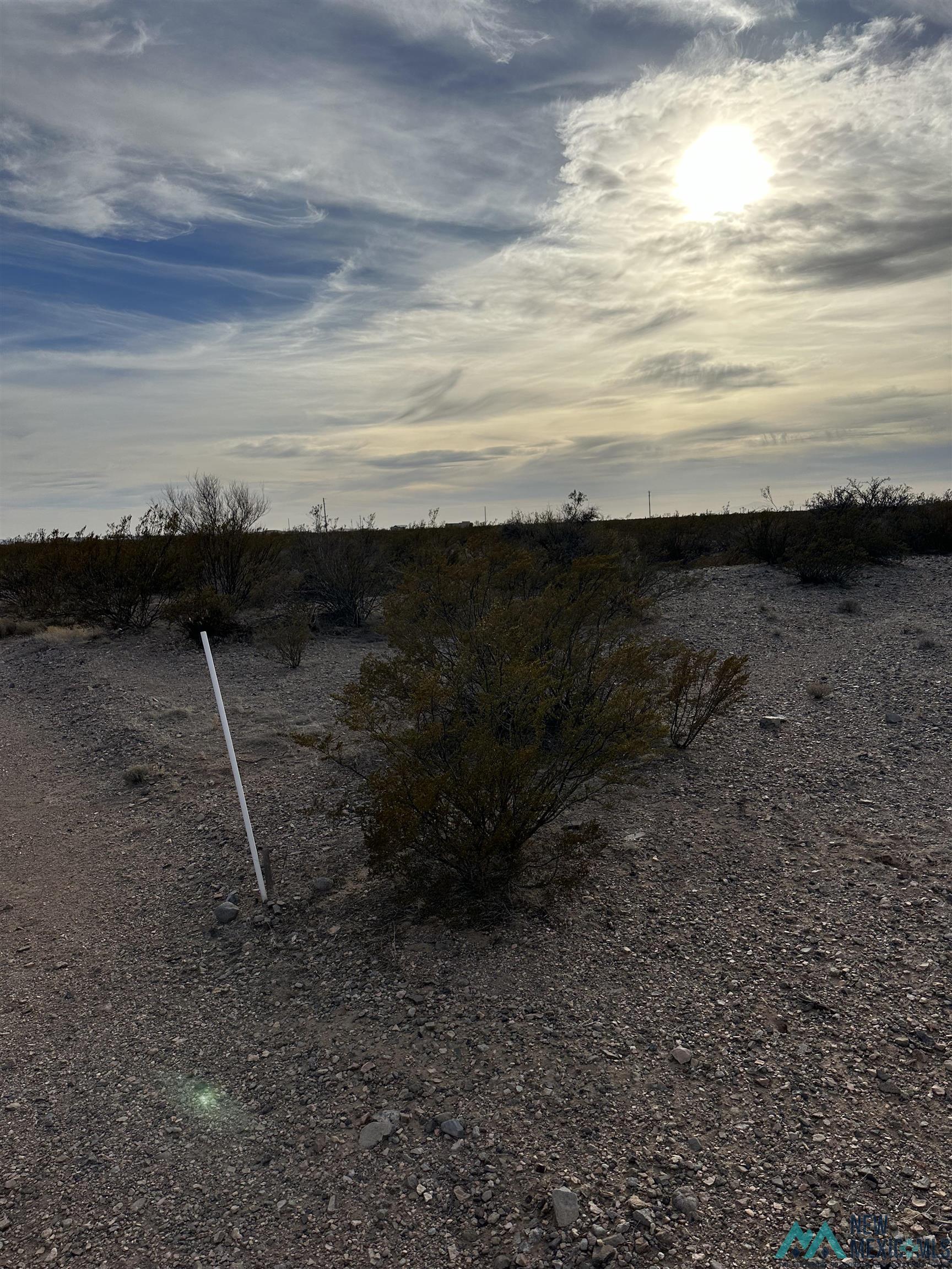 XXXX Roadrunner Lane Lot 8, Columbus, New Mexico image 1