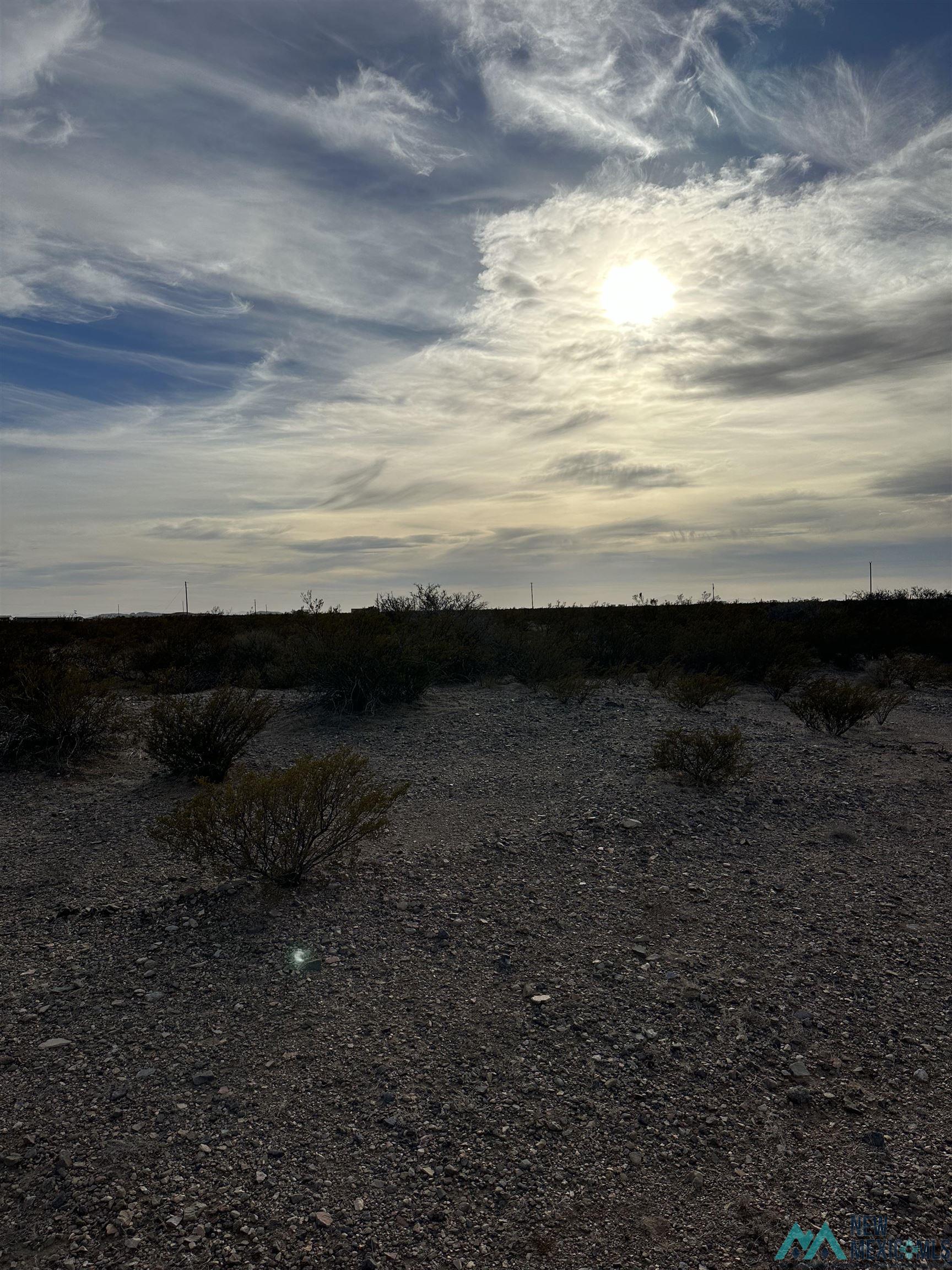 XXXX Roadrunner Lane Lot 8, Columbus, New Mexico image 5