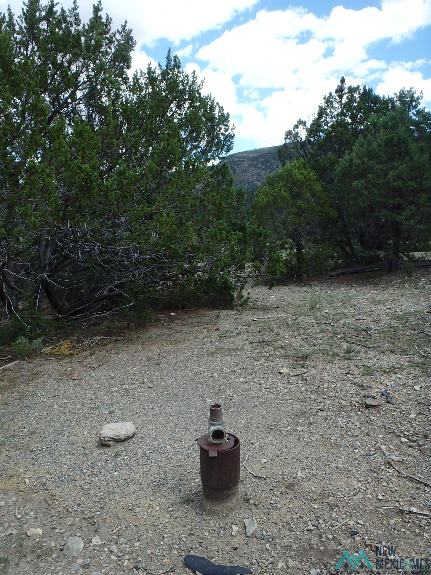 Copper Canyon Copper Canyon, Magdalena, New Mexico image 6