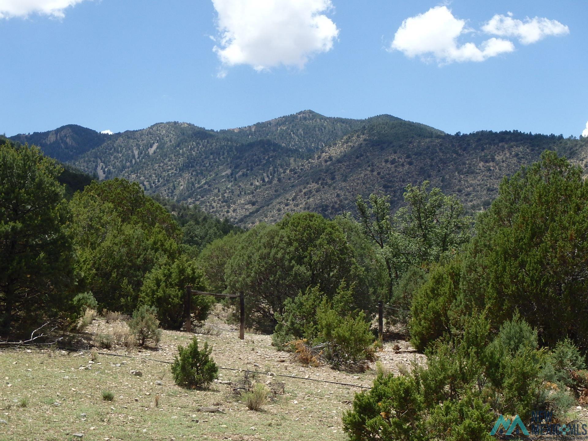 Copper Canyon Copper Canyon, Magdalena, New Mexico image 4