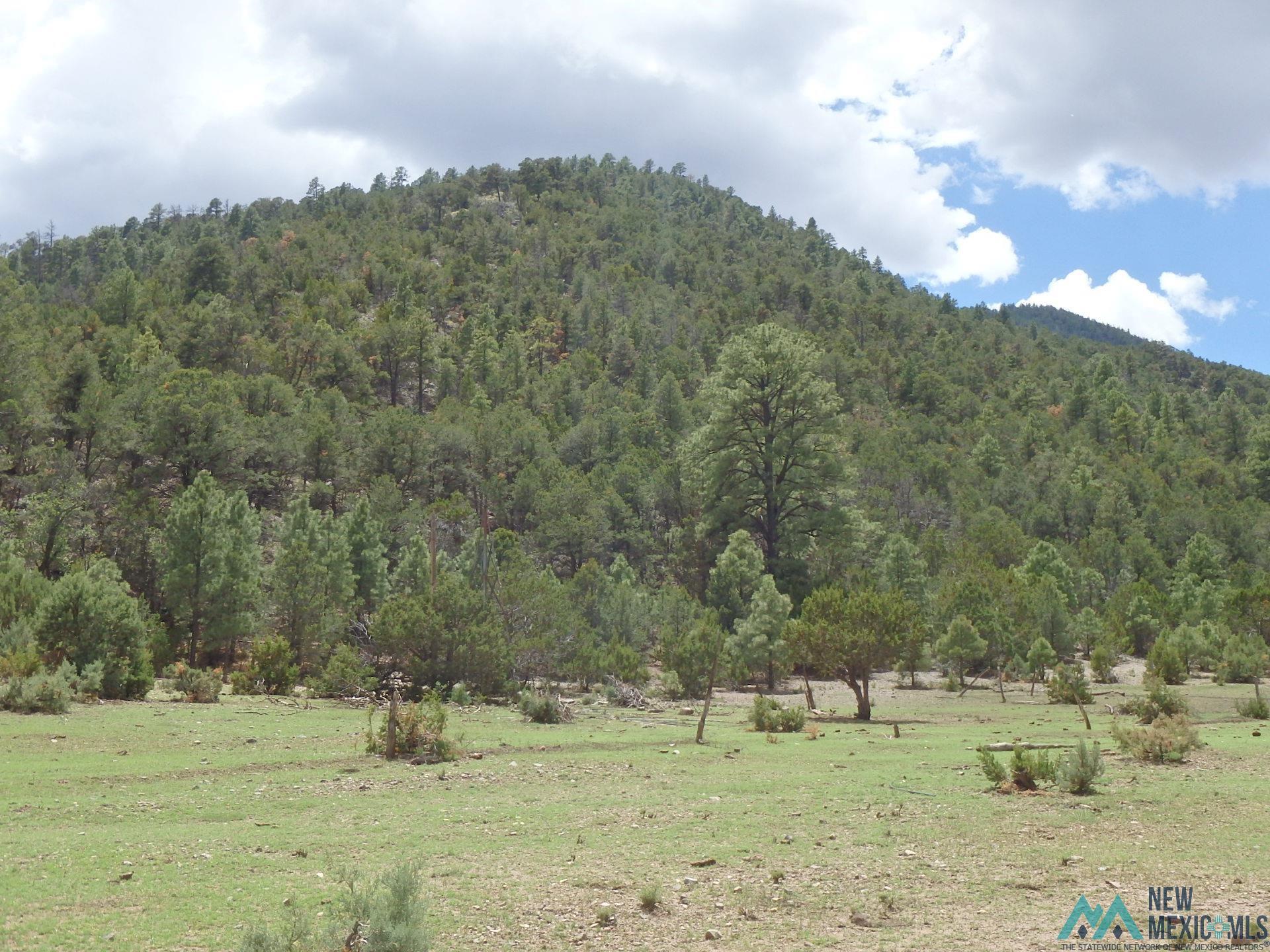 Copper Canyon Copper Canyon, Magdalena, New Mexico image 5