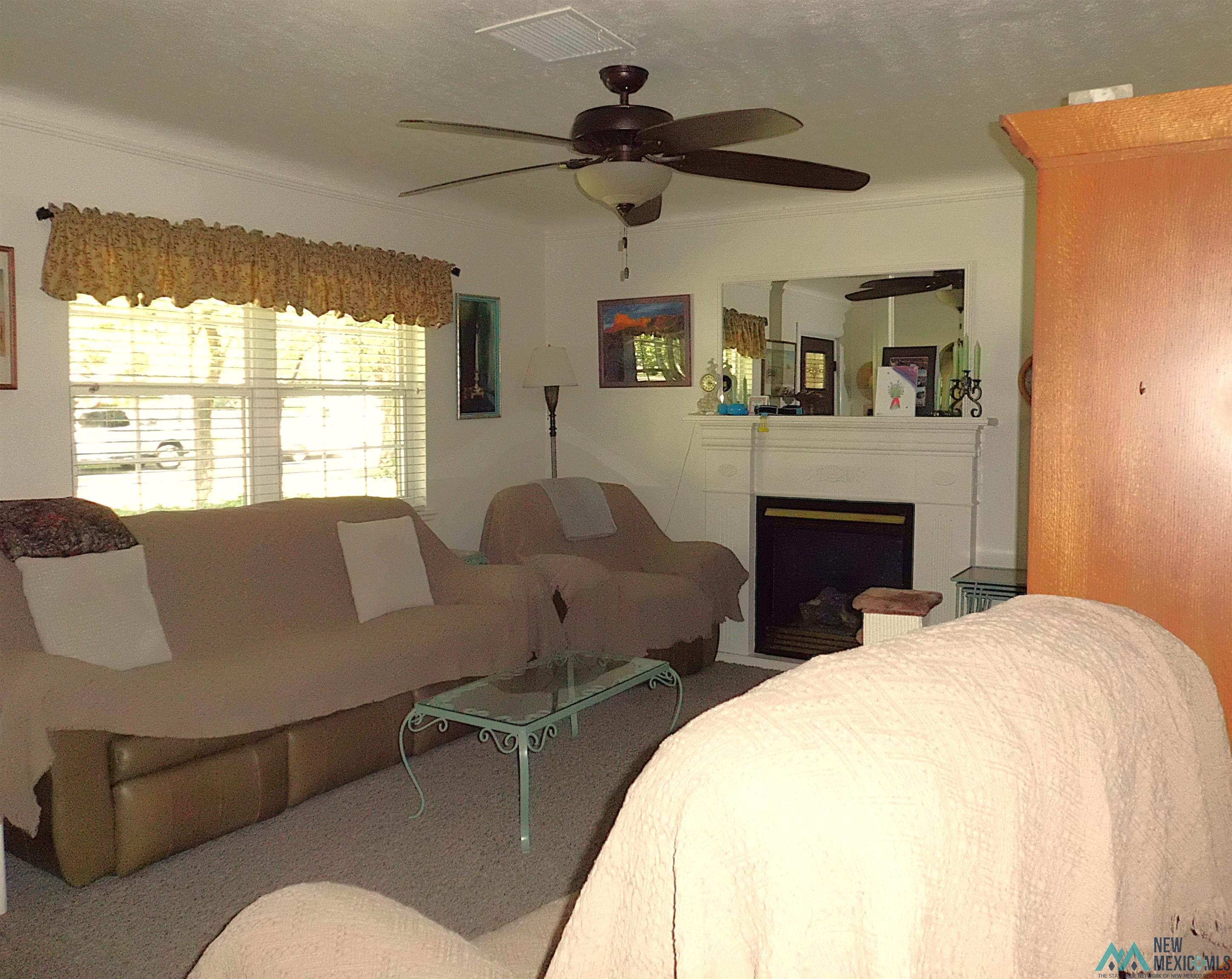 1103 N Eddy Street, Carlsbad, Texas image 7