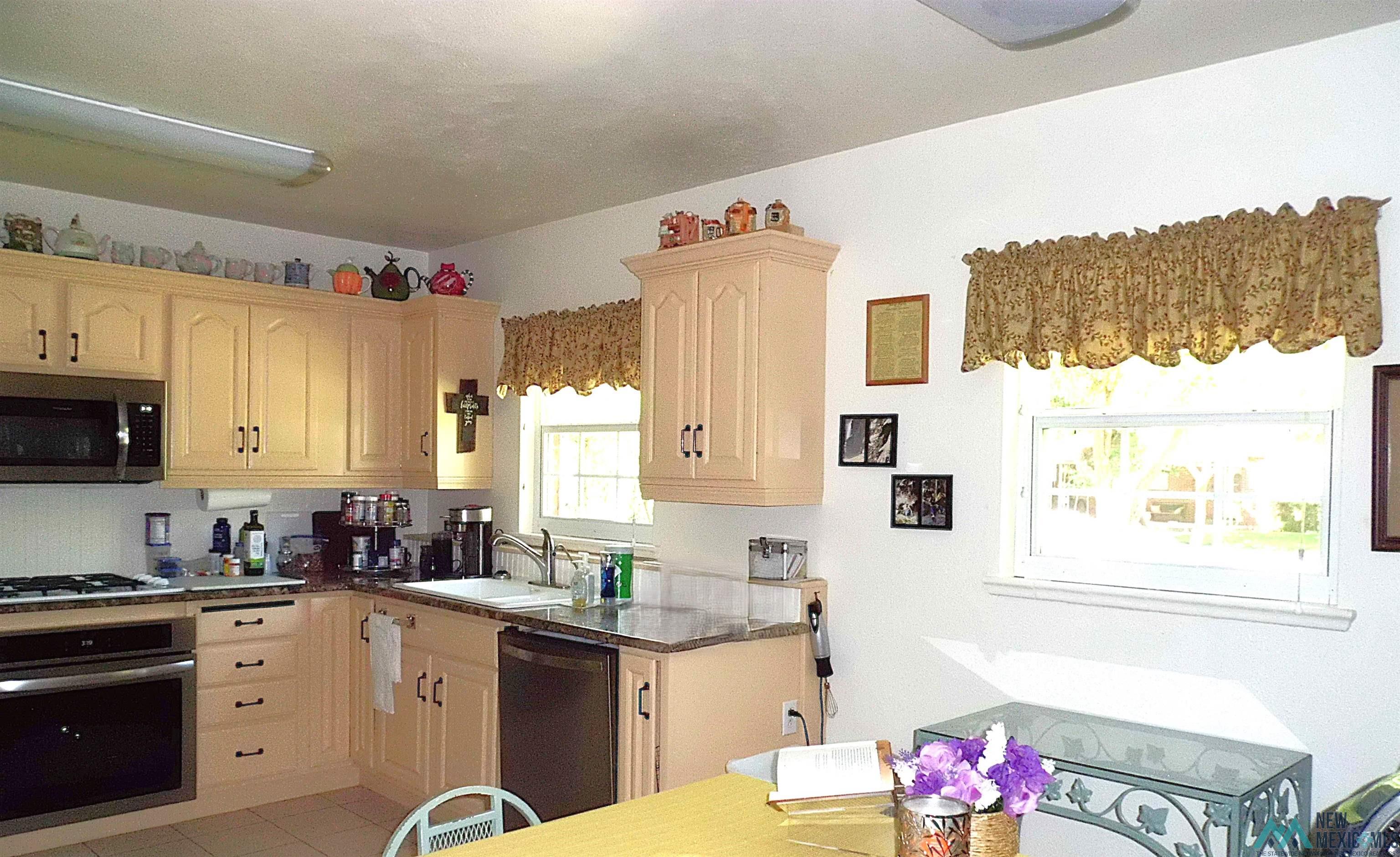 1103 N Eddy Street, Carlsbad, Texas image 11