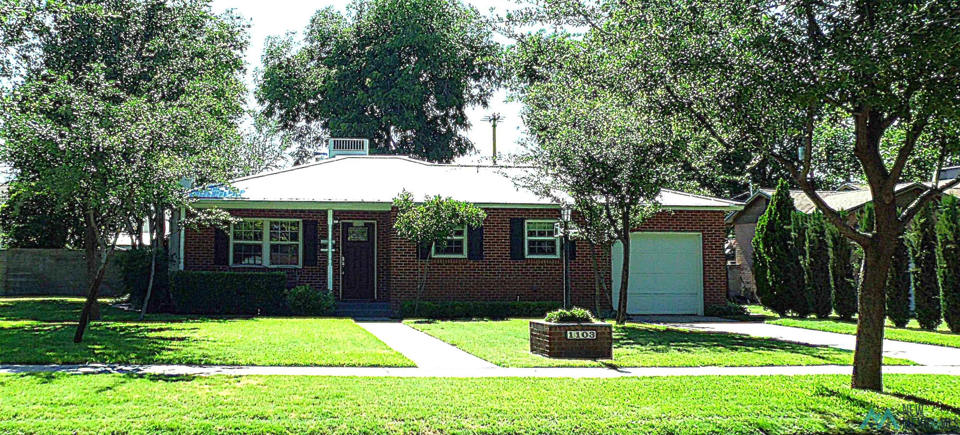 1103 N Eddy Street, Carlsbad, Texas image 1