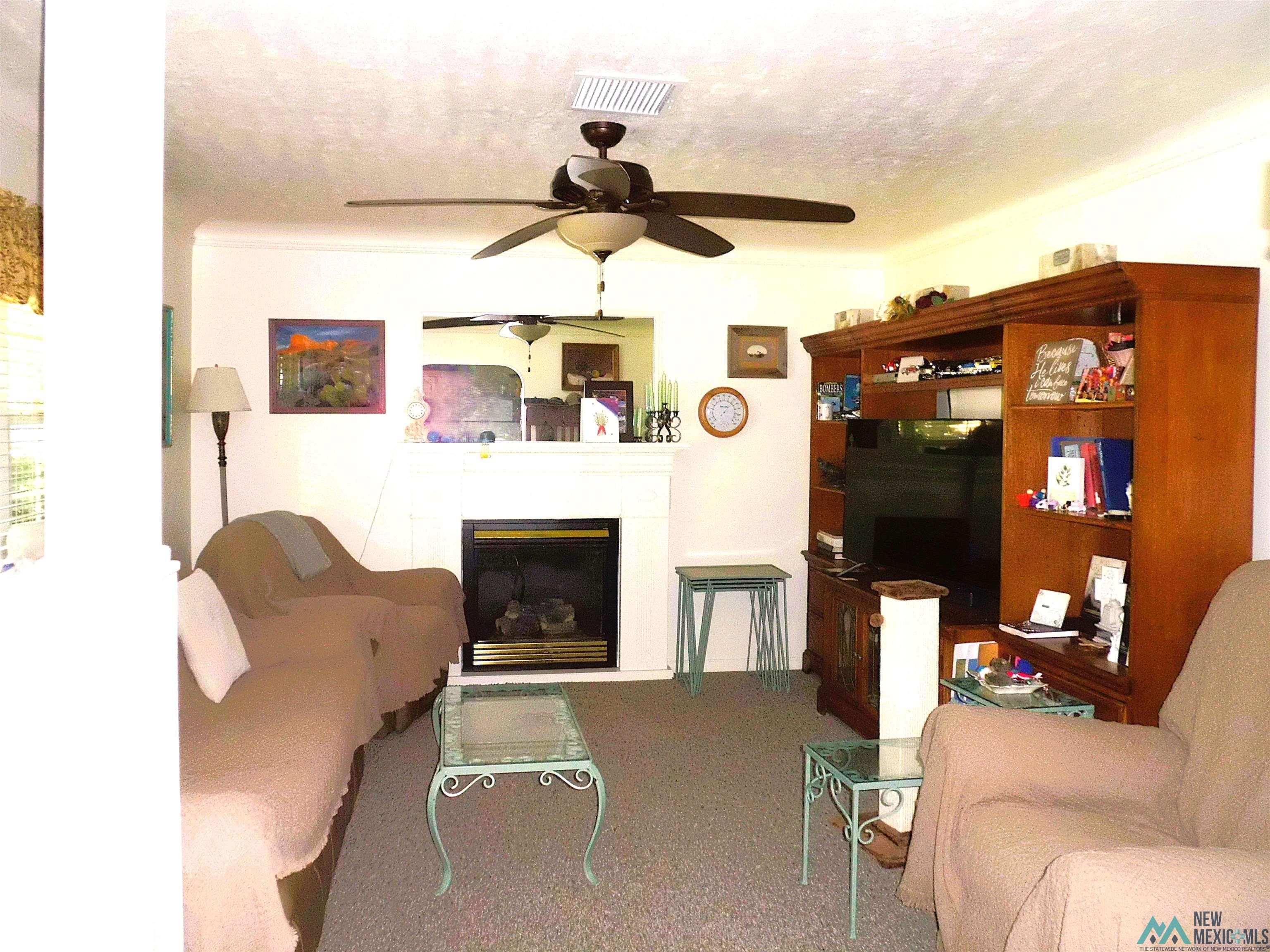 1103 N Eddy Street, Carlsbad, Texas image 8