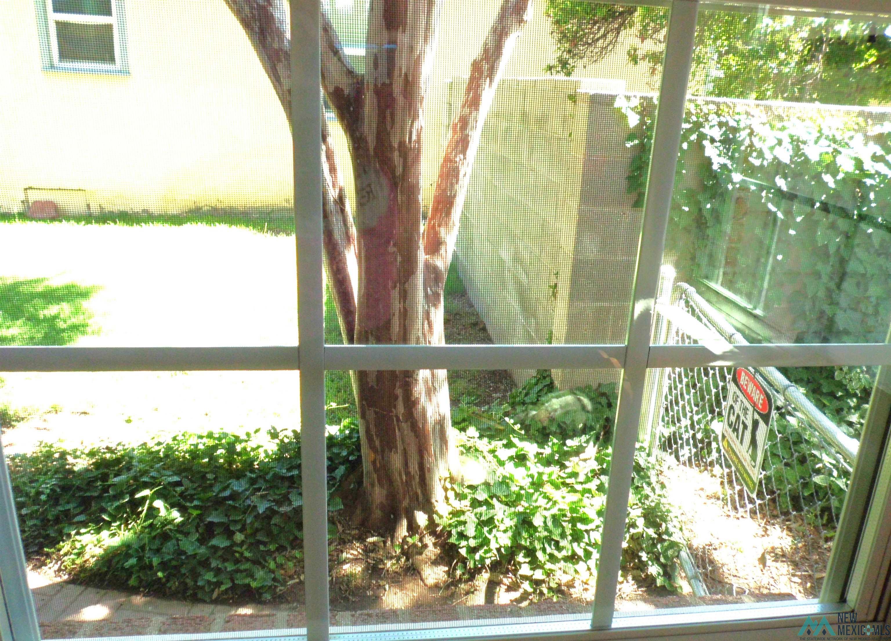 1103 N Eddy Street, Carlsbad, Texas image 22