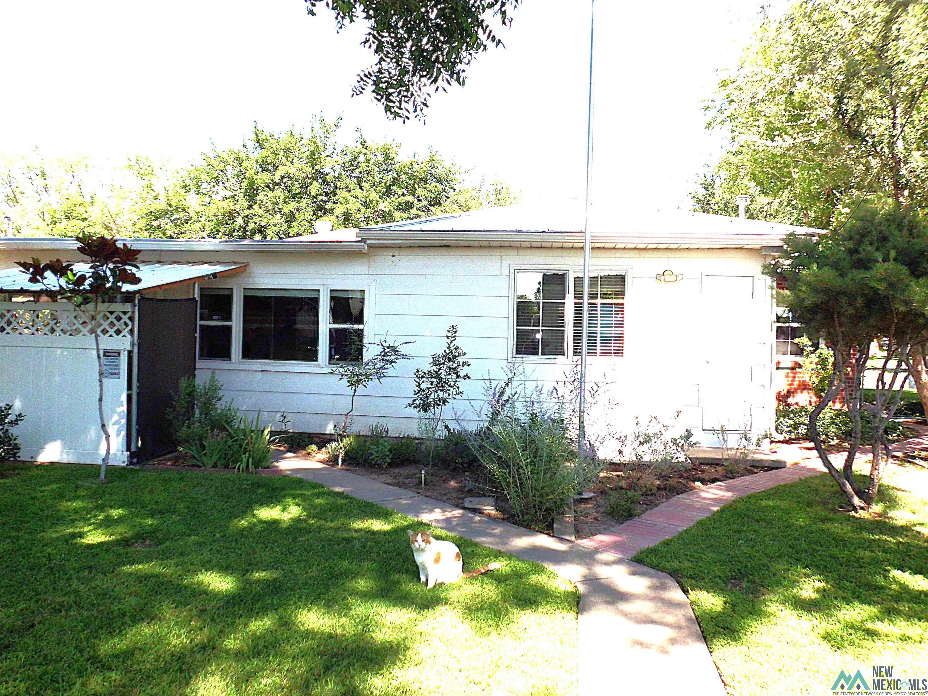 1103 N Eddy Street, Carlsbad, Texas image 48