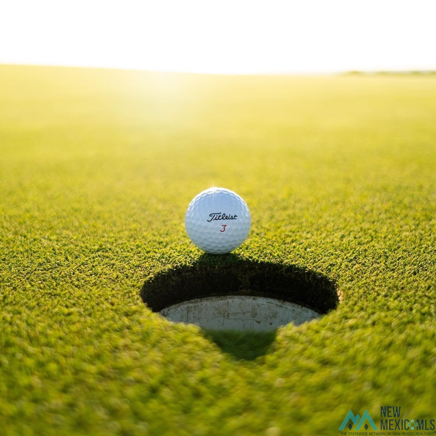 Lot 34 Desert Willow Estates, Artesia, New Mexico image 4