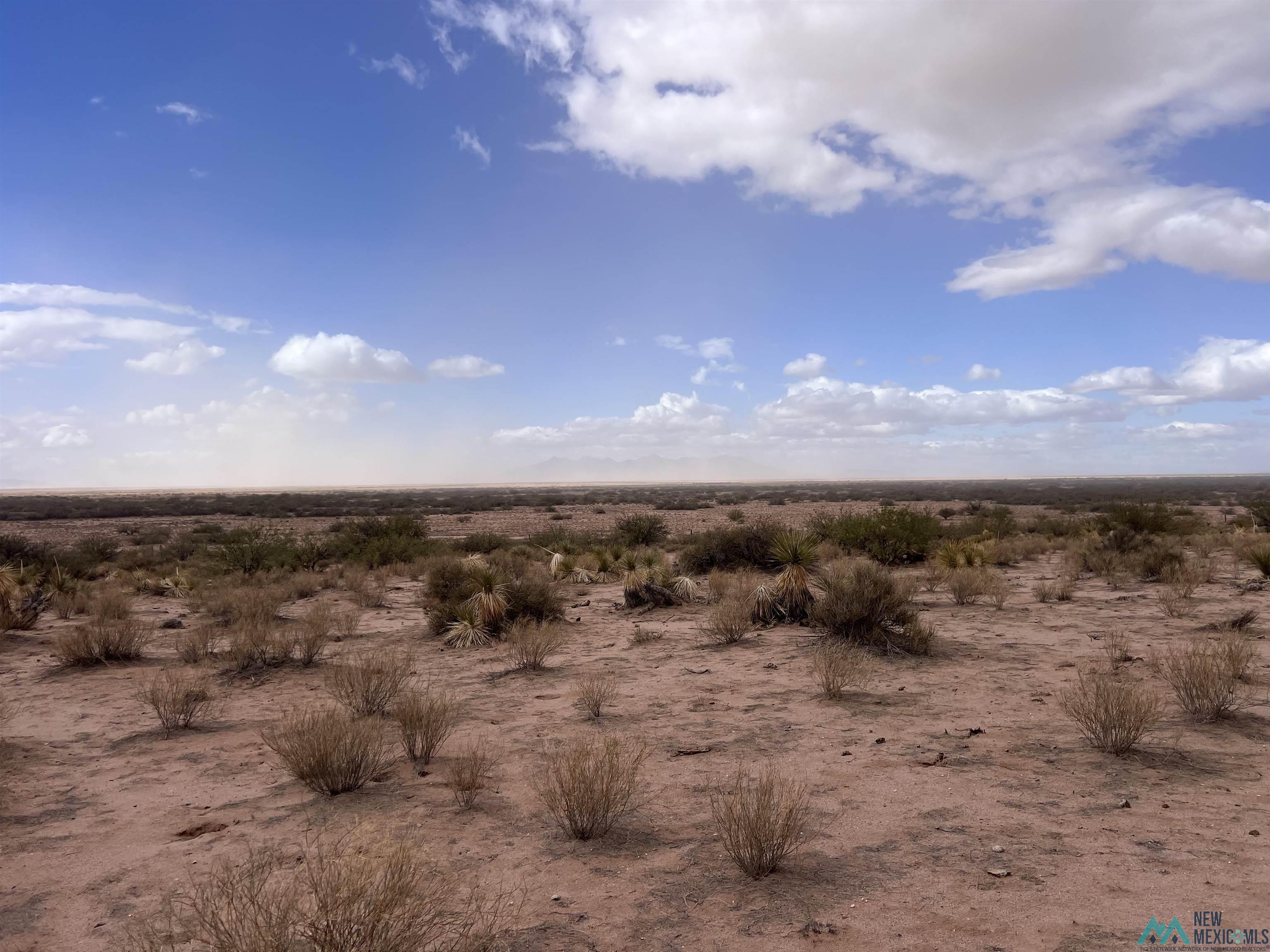 XXXX NE Of Highway 9 Road, Deming, New Mexico image 1