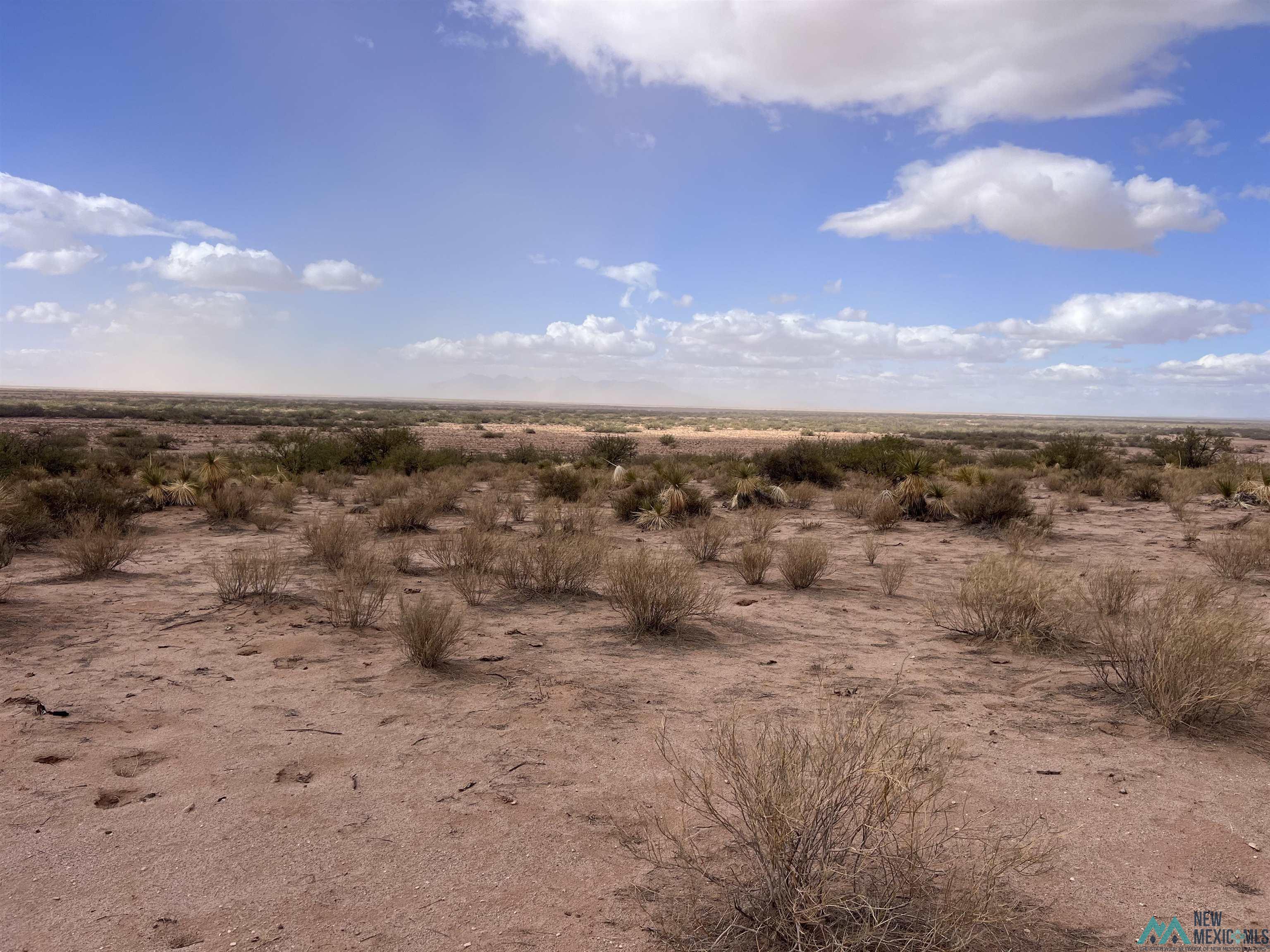 XXXX NE Of Highway 9 Road, Deming, New Mexico image 4