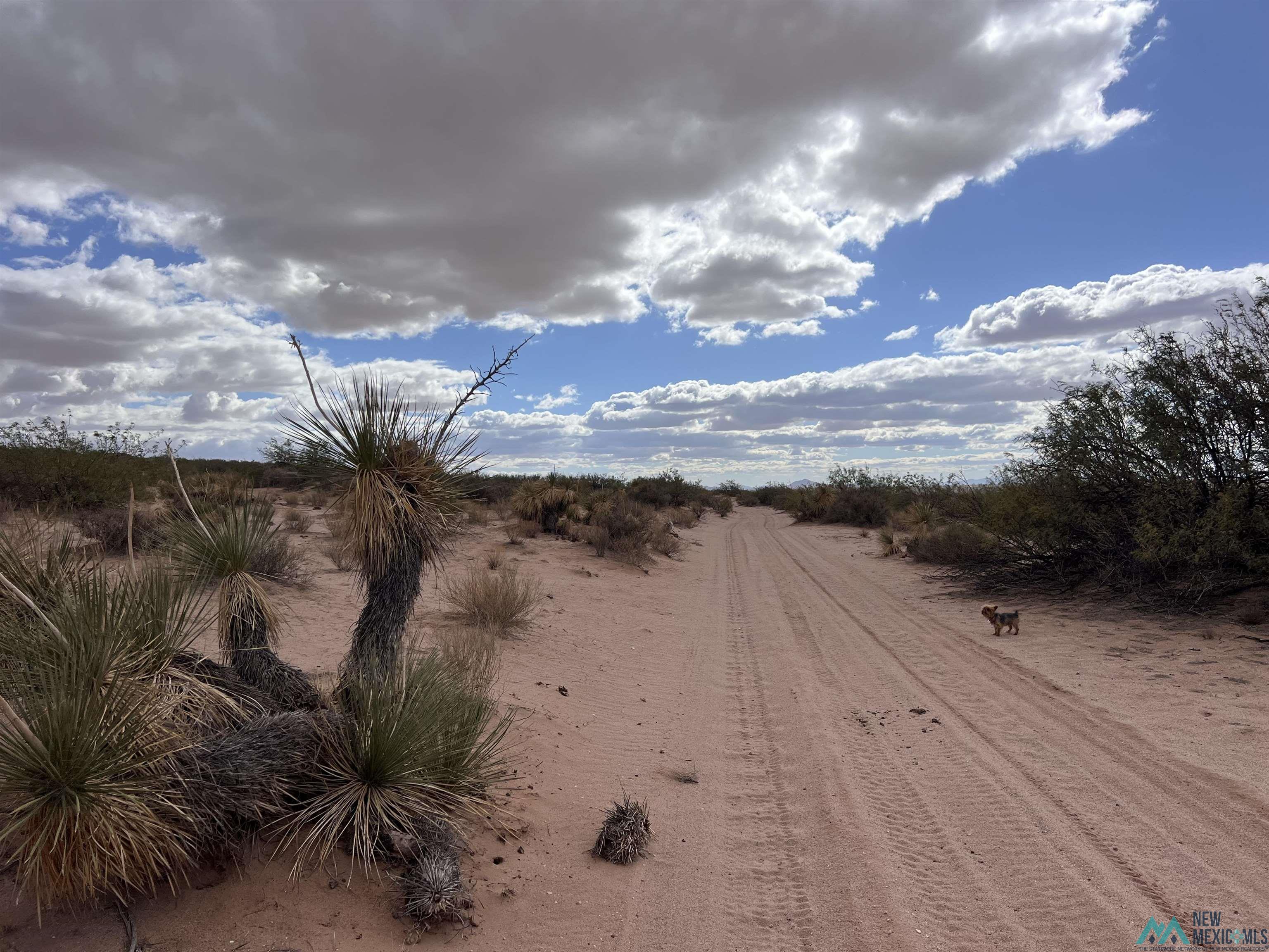 XXXX NE Of Highway 9 Road, Deming, New Mexico image 2