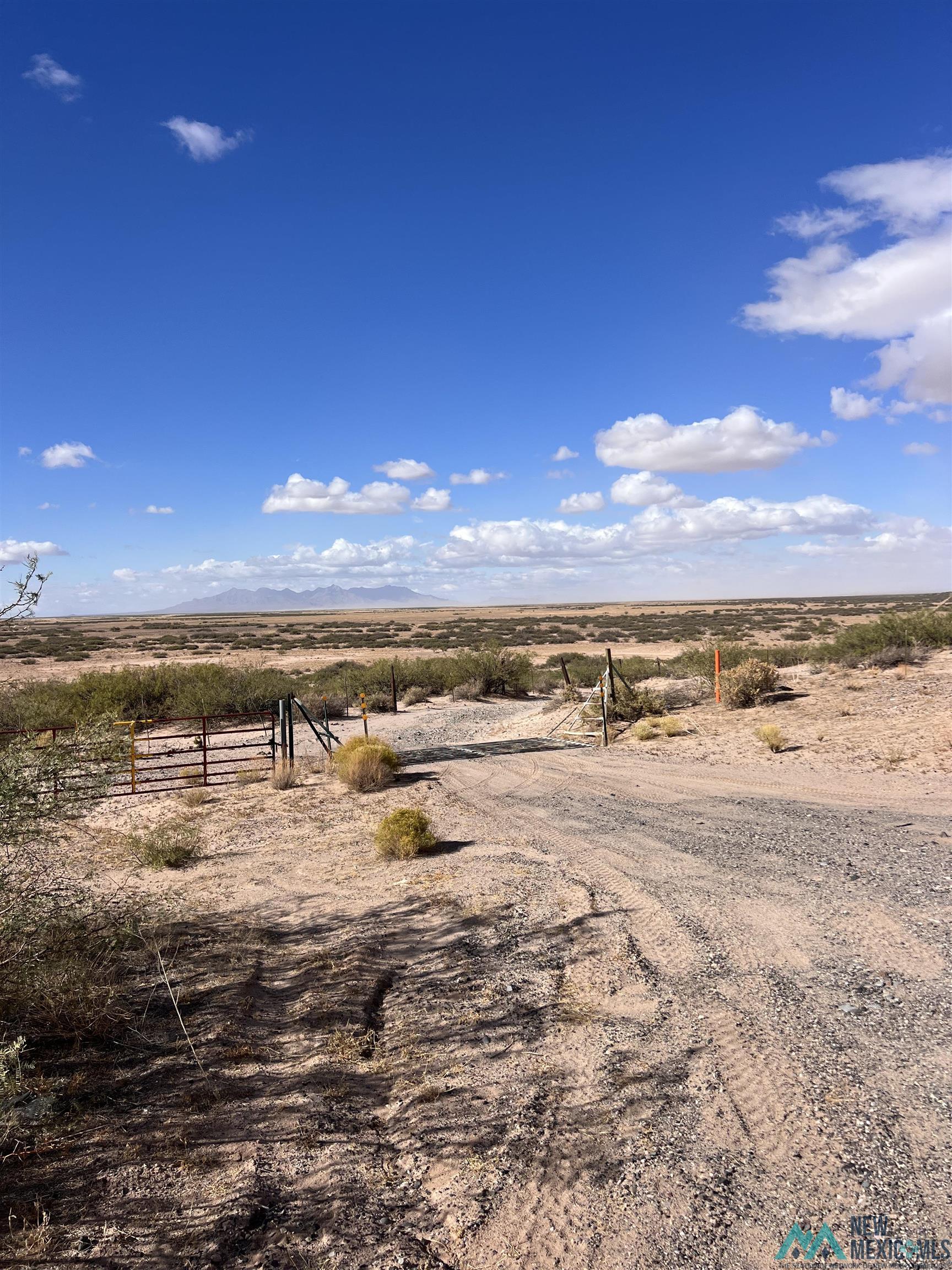 XXXX NE Of Highway 9 Road, Deming, New Mexico image 3