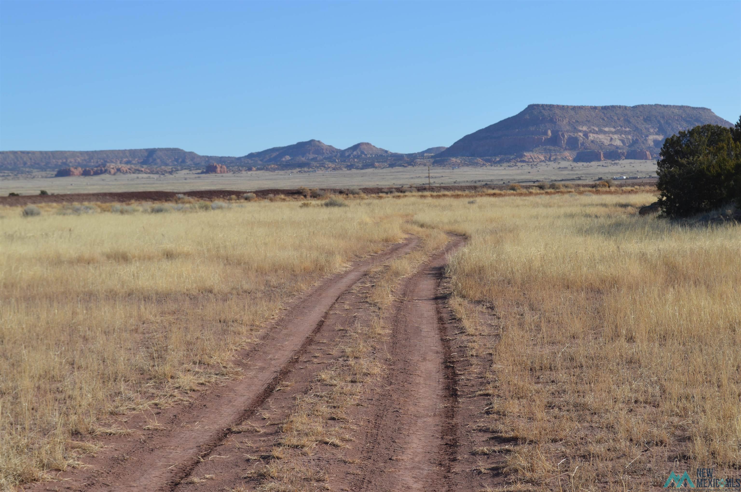 TBD Prewitt Road, Prewitt, New Mexico image 21