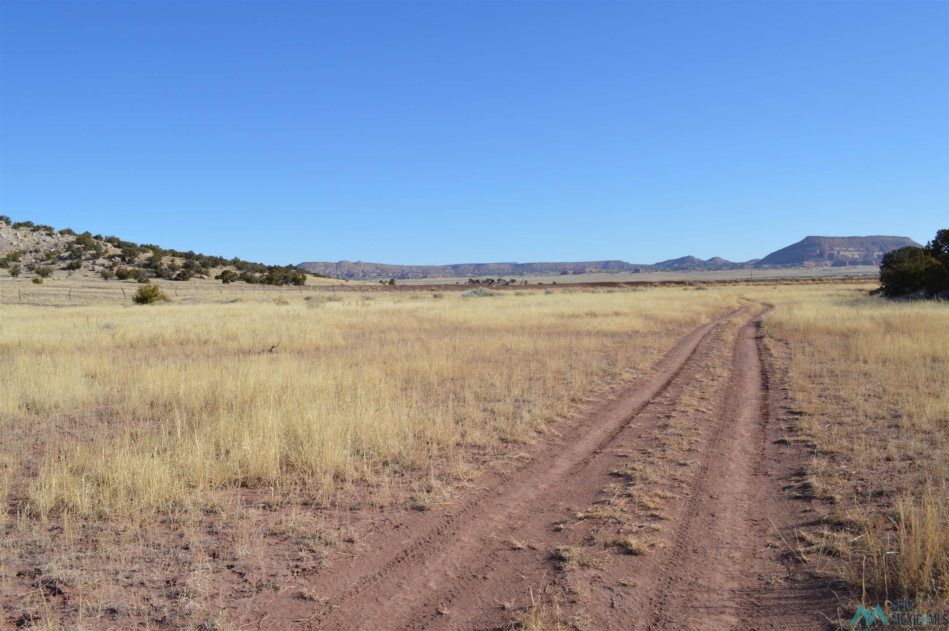 TBD Prewitt Road, Prewitt, New Mexico image 20