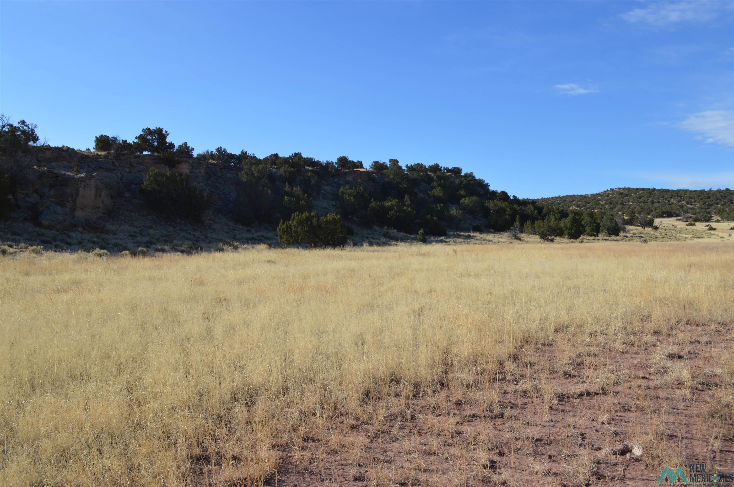 TBD Prewitt Road, Prewitt, New Mexico image 16