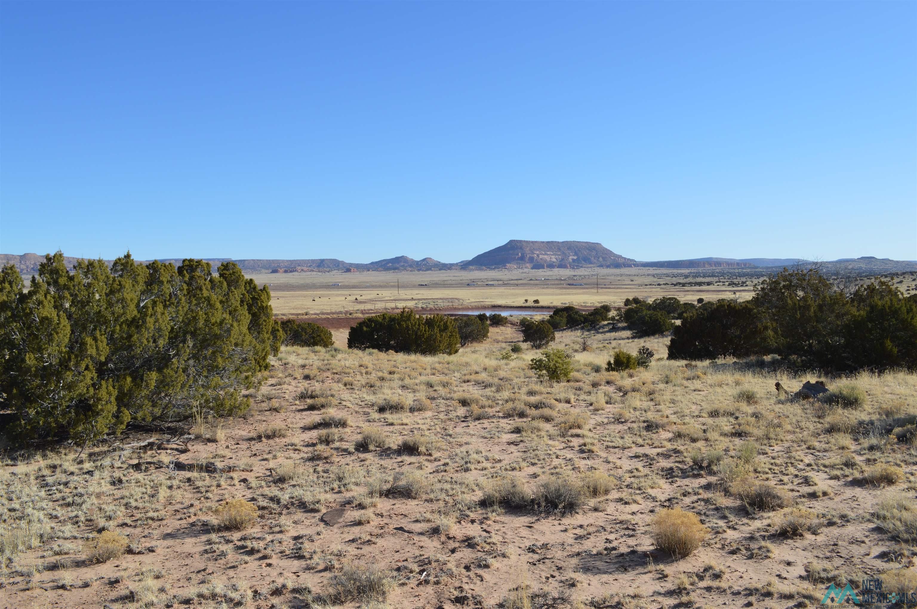 TBD Prewitt Road, Prewitt, New Mexico image 36