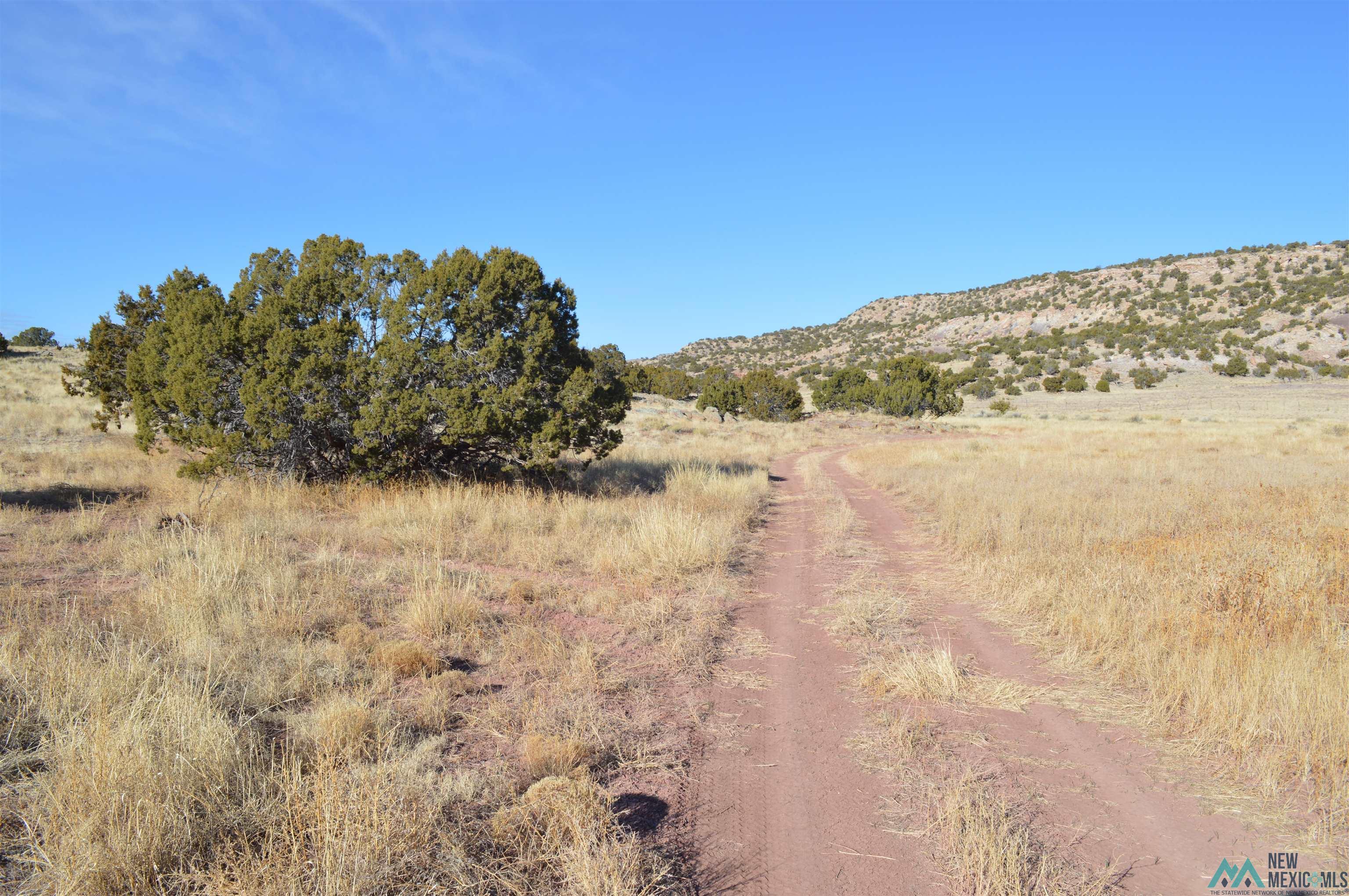 TBD Prewitt Road, Prewitt, New Mexico image 4