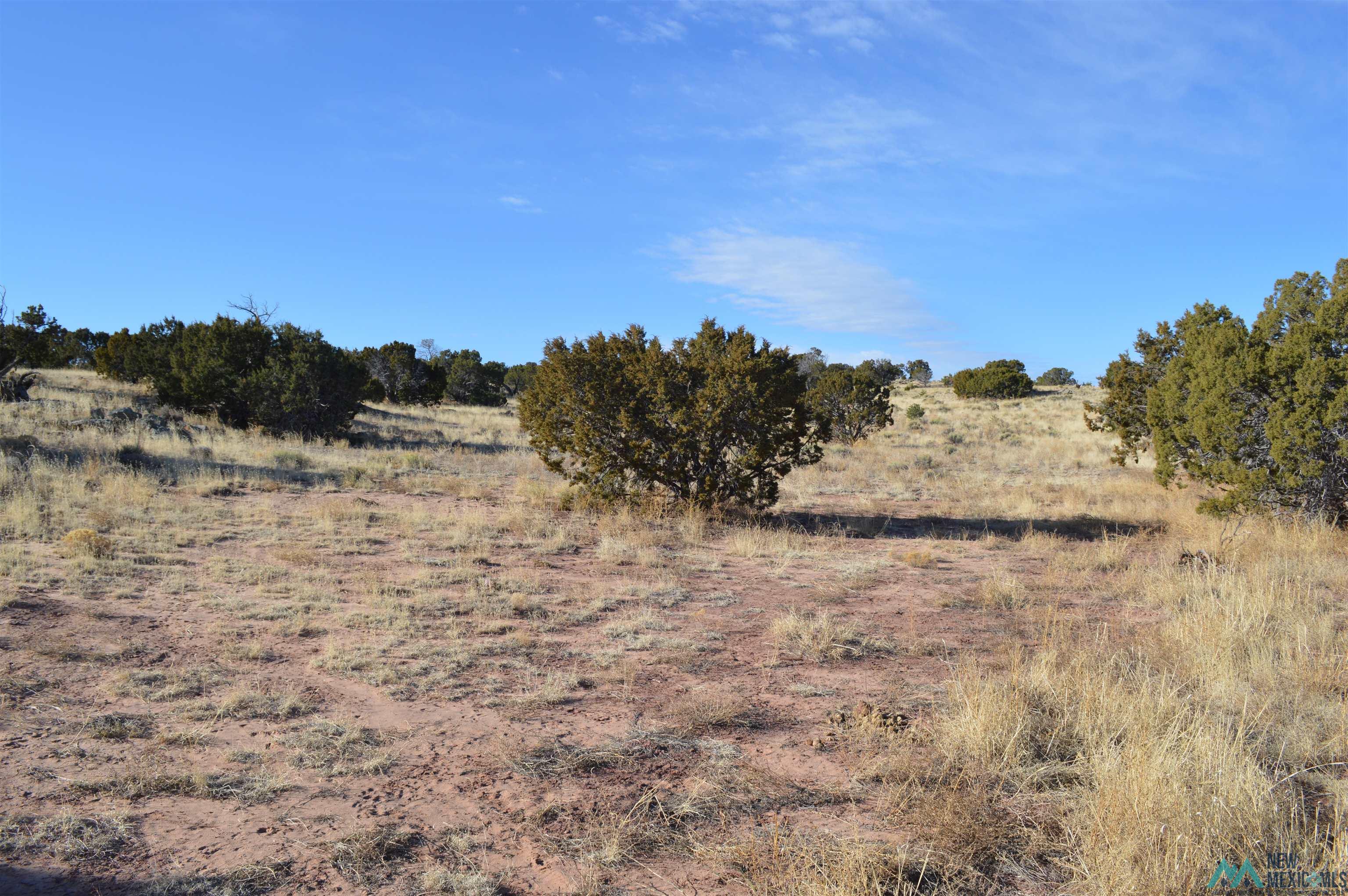 TBD Prewitt Road, Prewitt, New Mexico image 2