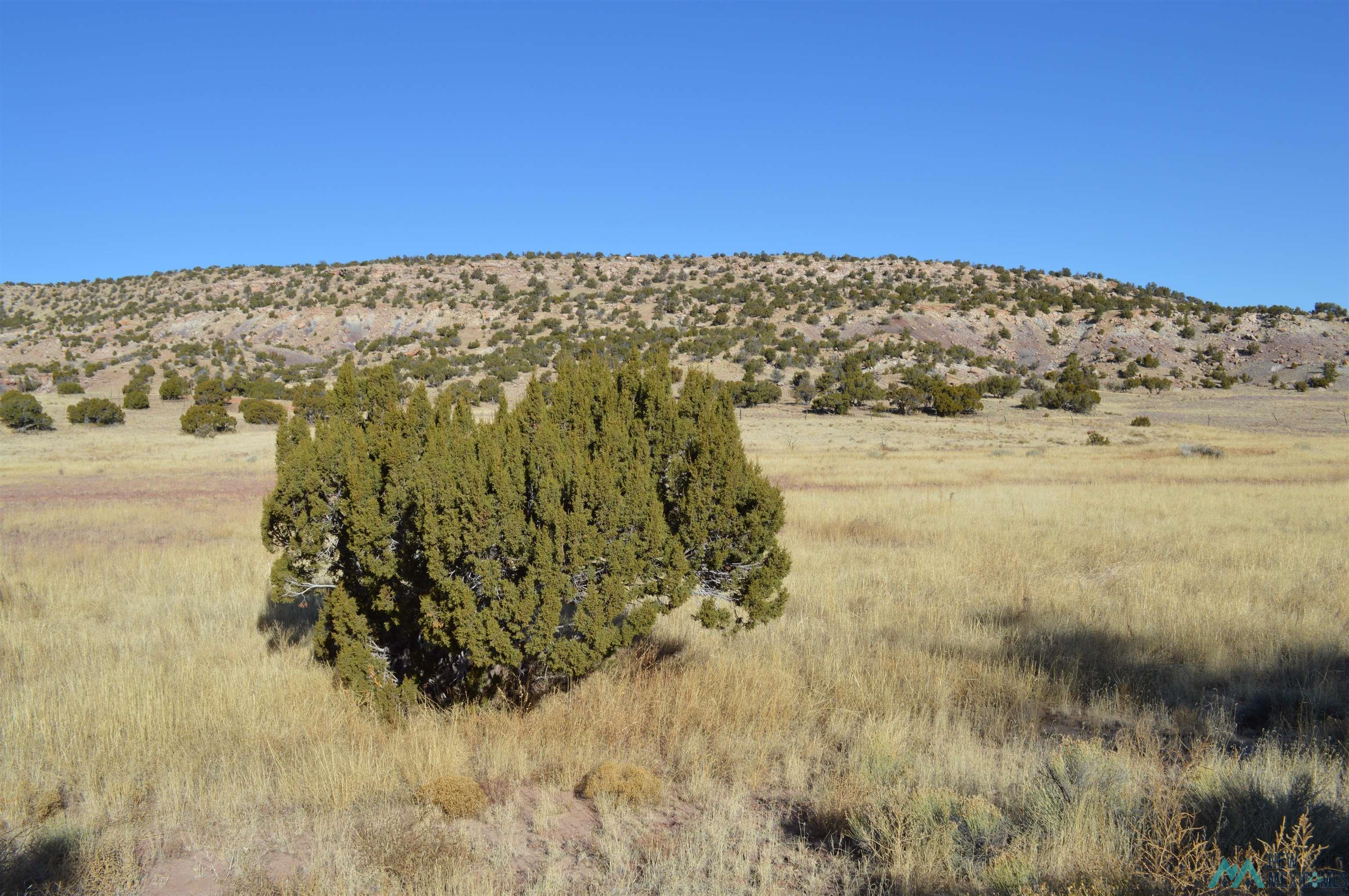 TBD Prewitt Road, Prewitt, New Mexico image 32