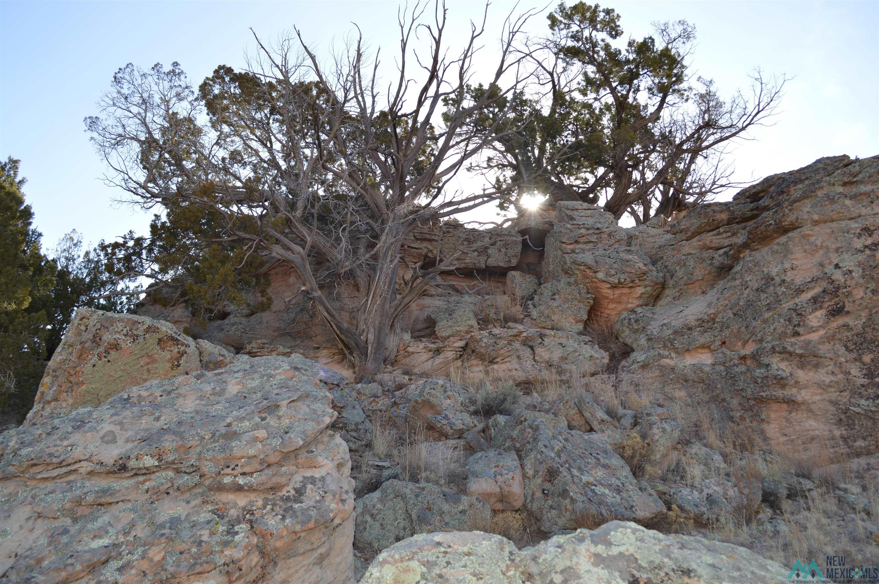 TBD Prewitt Road, Prewitt, New Mexico image 33
