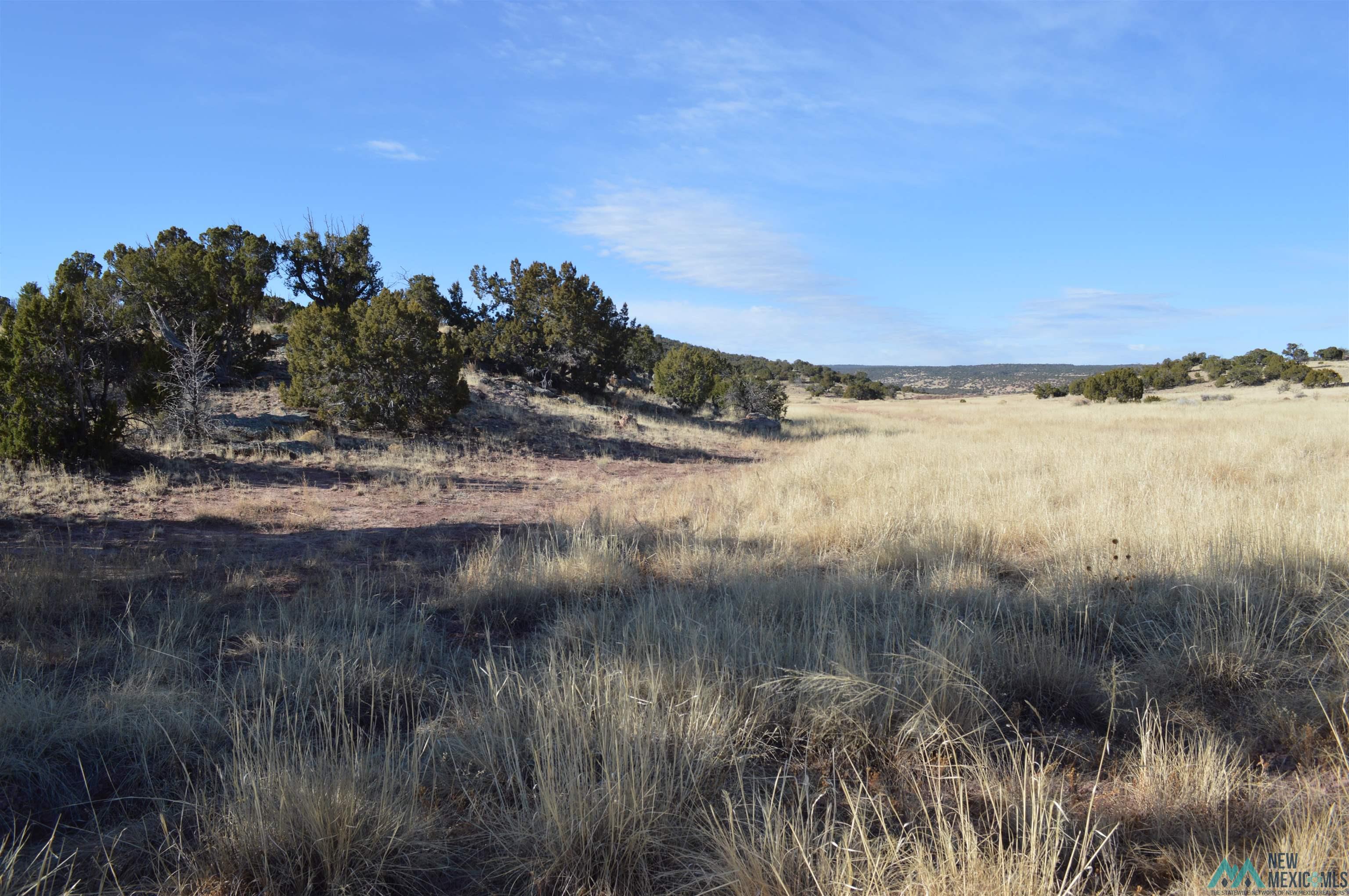 TBD Prewitt Road, Prewitt, New Mexico image 11