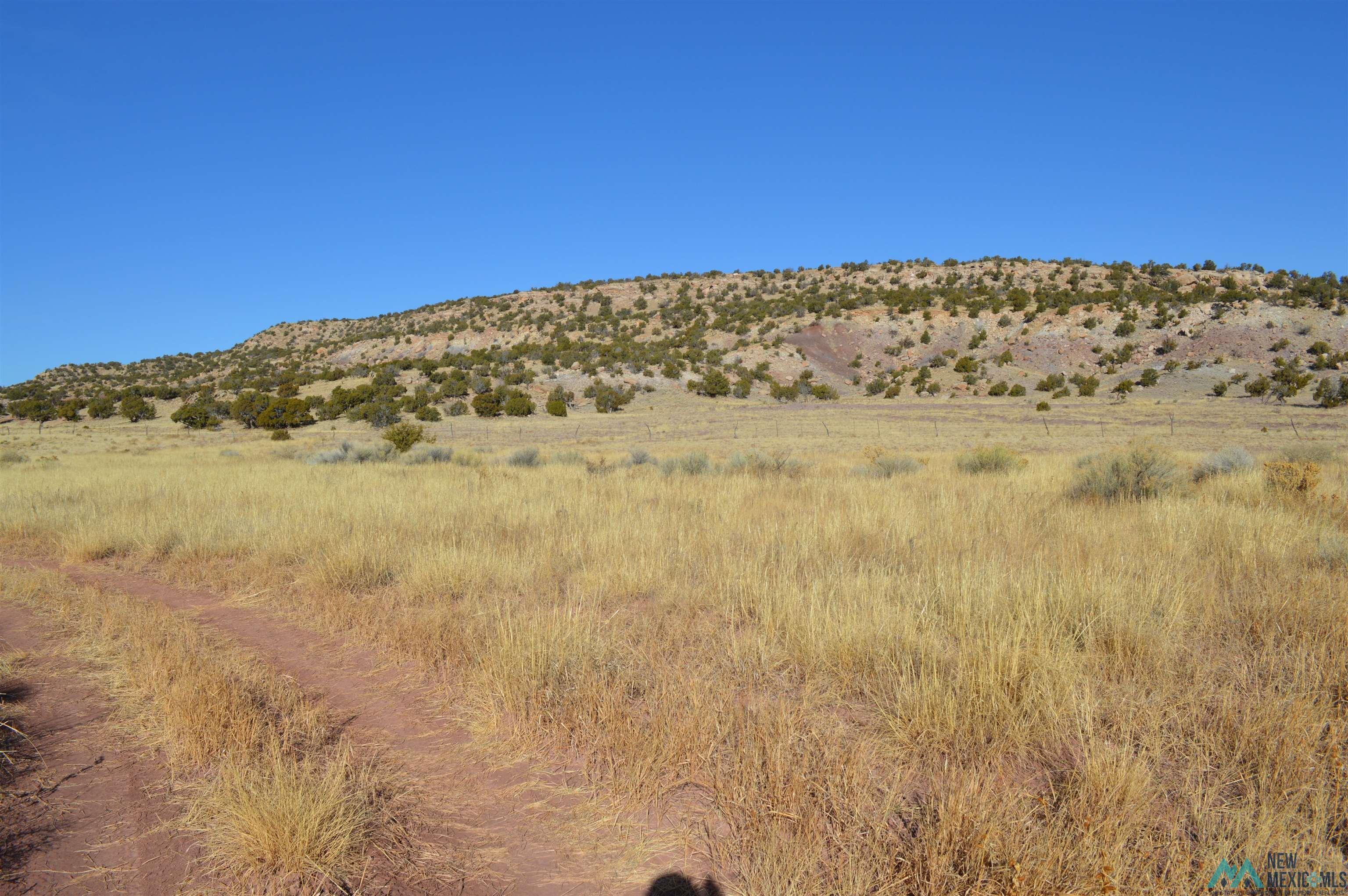 TBD Prewitt Road, Prewitt, New Mexico image 10