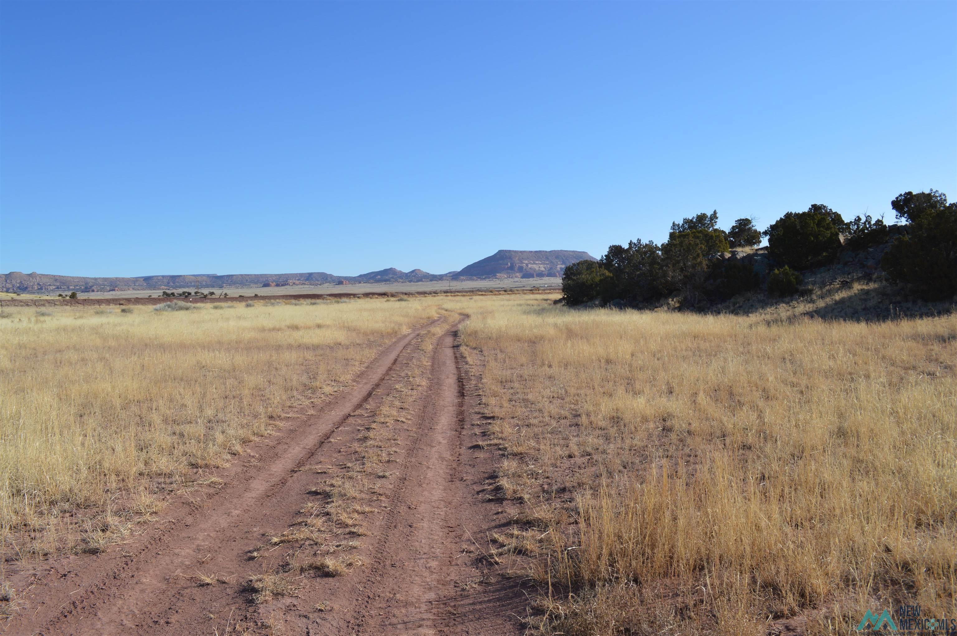 TBD Prewitt Road, Prewitt, New Mexico image 19