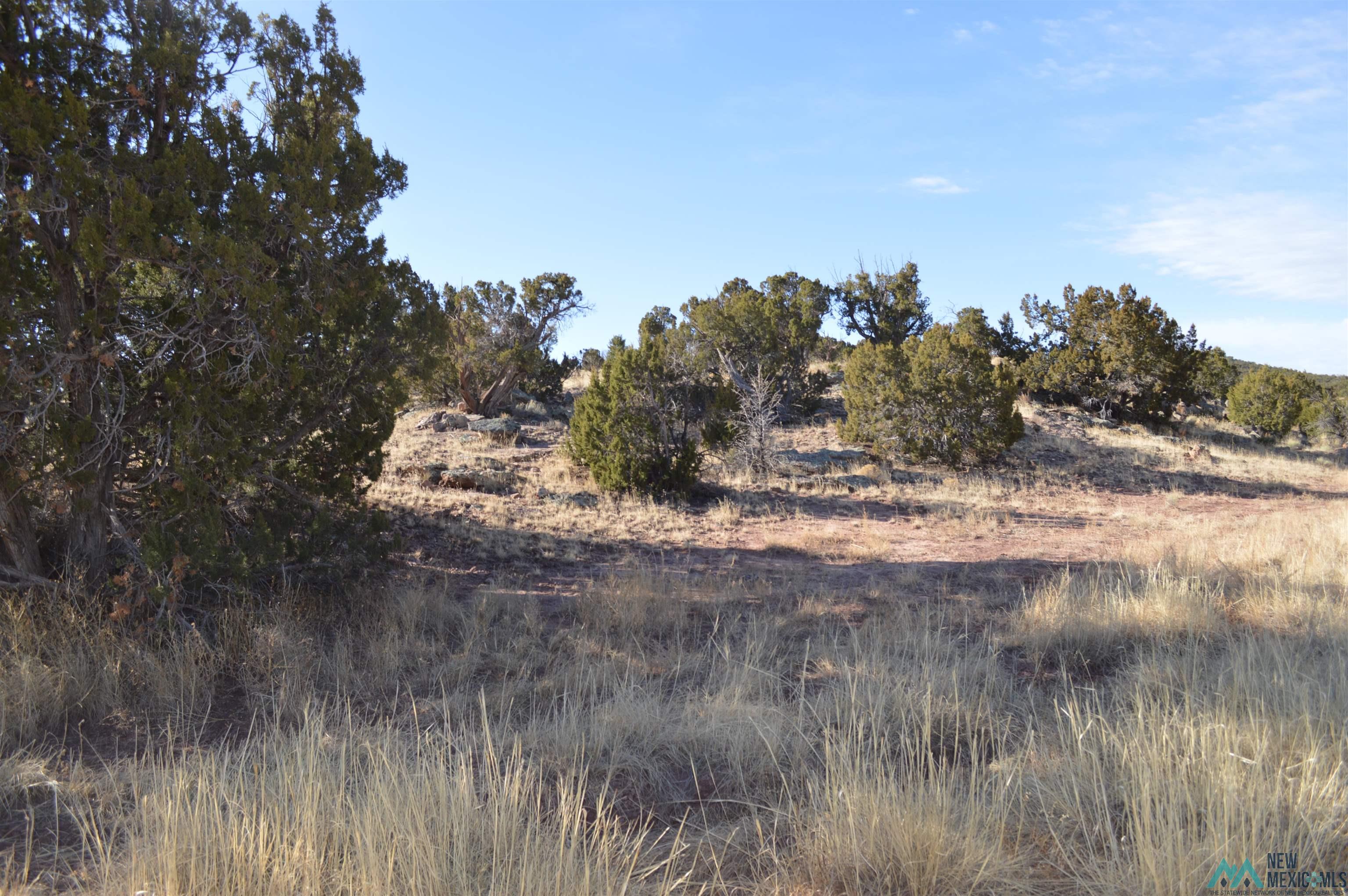 TBD Prewitt Road, Prewitt, New Mexico image 12