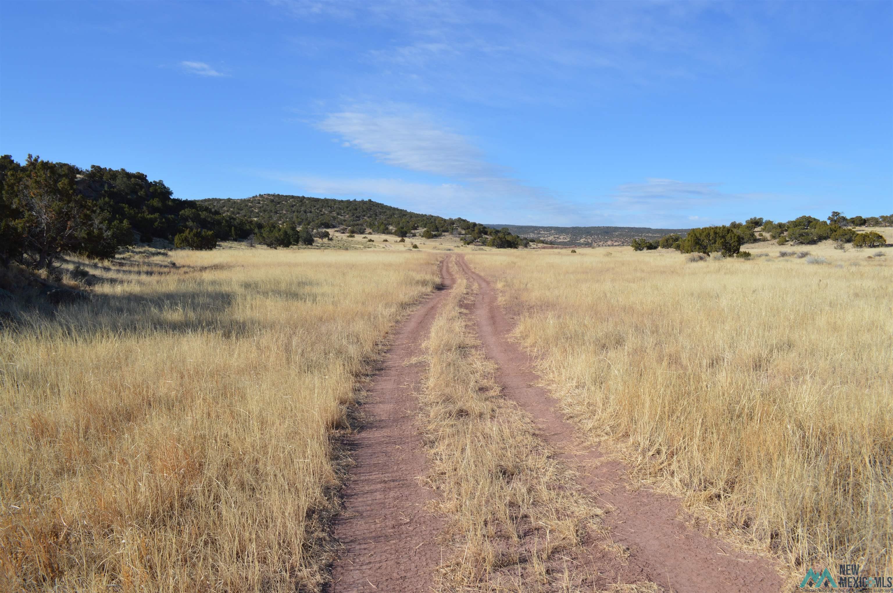 TBD Prewitt Road, Prewitt, New Mexico image 13
