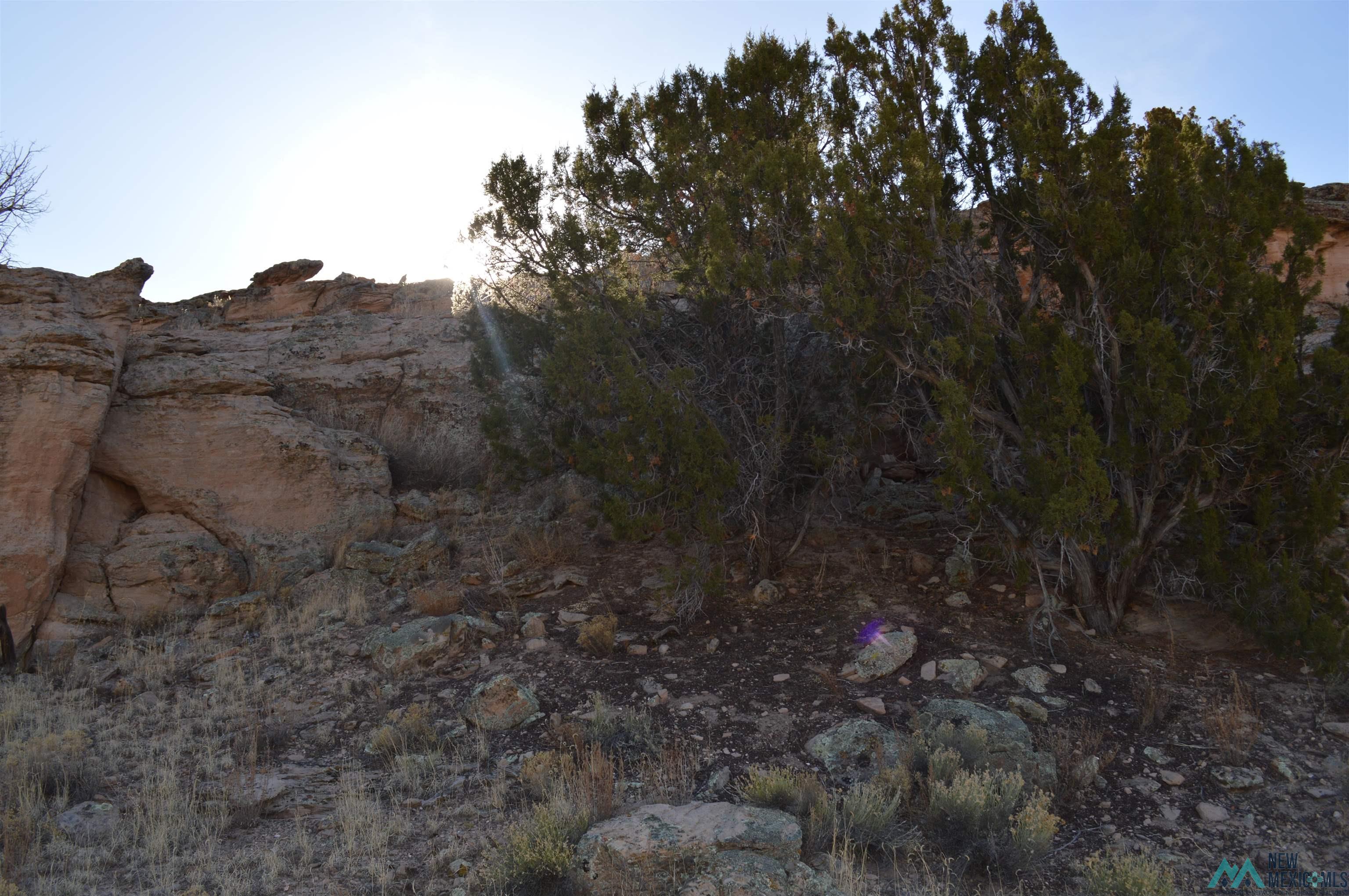 TBD Prewitt Road, Prewitt, New Mexico image 28